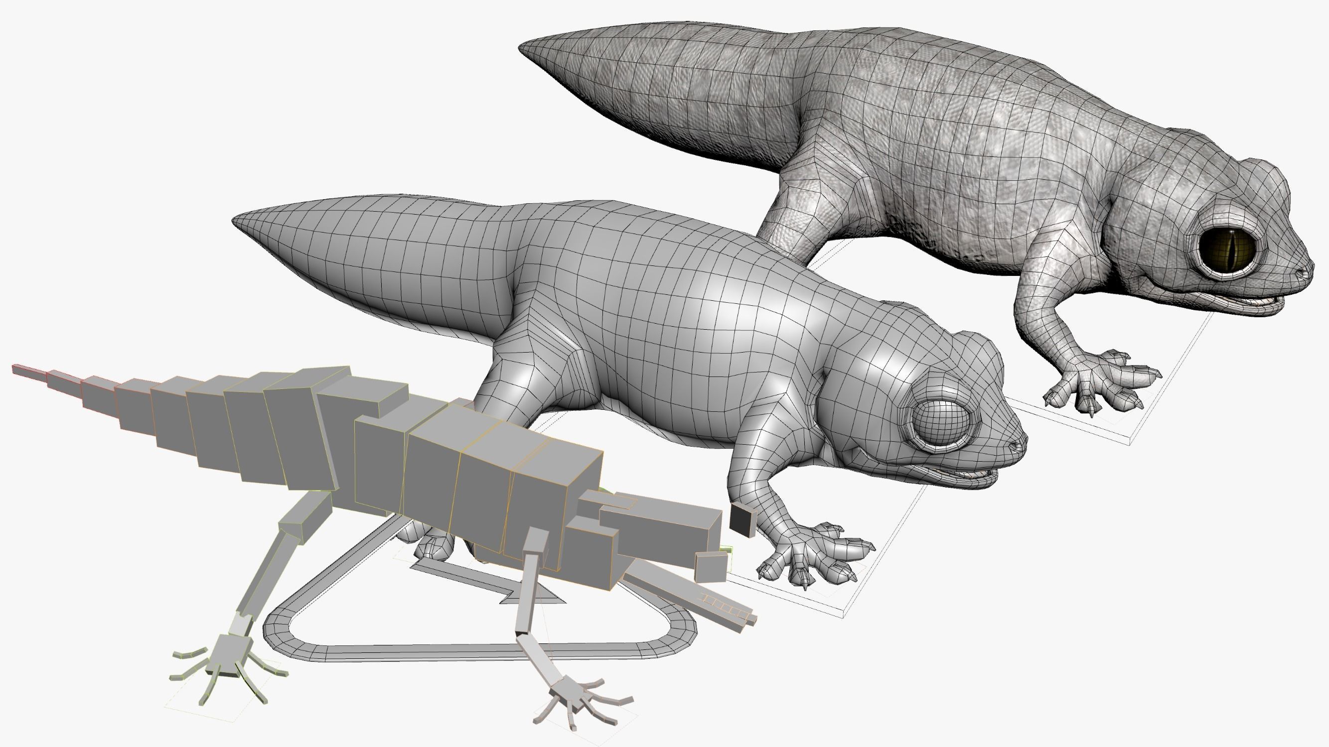 Gecko Reptile 3DS Max 3D model_12