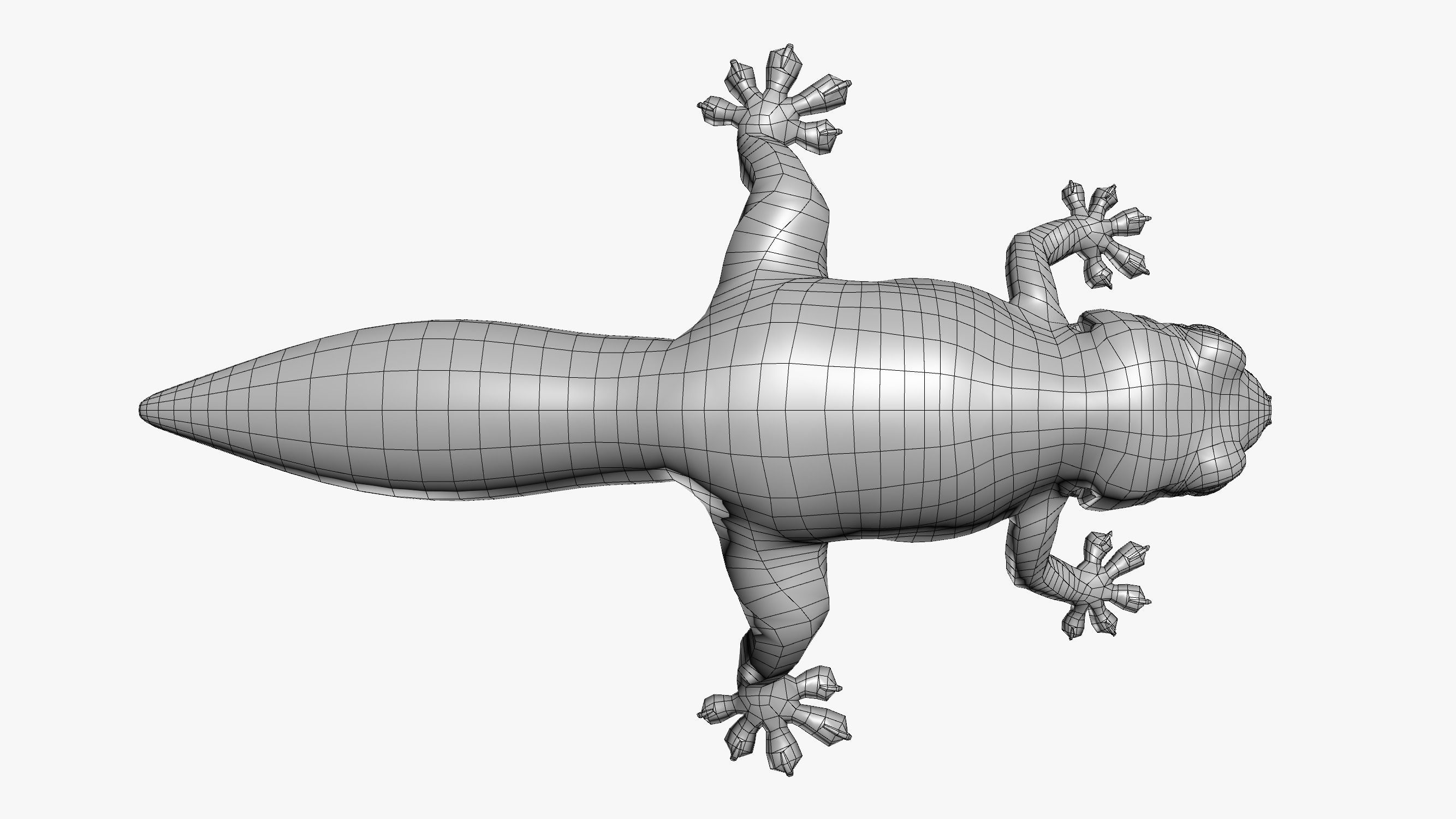 Gecko Reptile 3DS Max 3D model_14