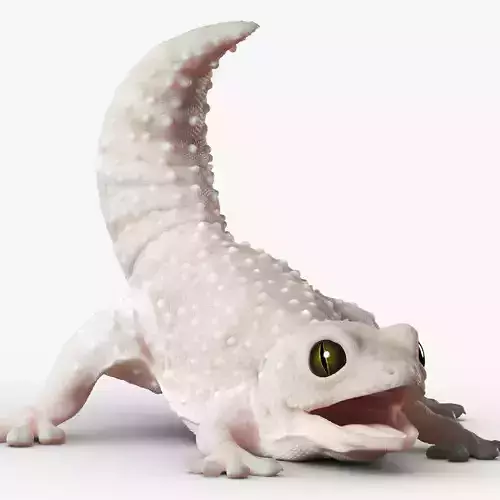 Gecko Reptile 3DS Max 3D model