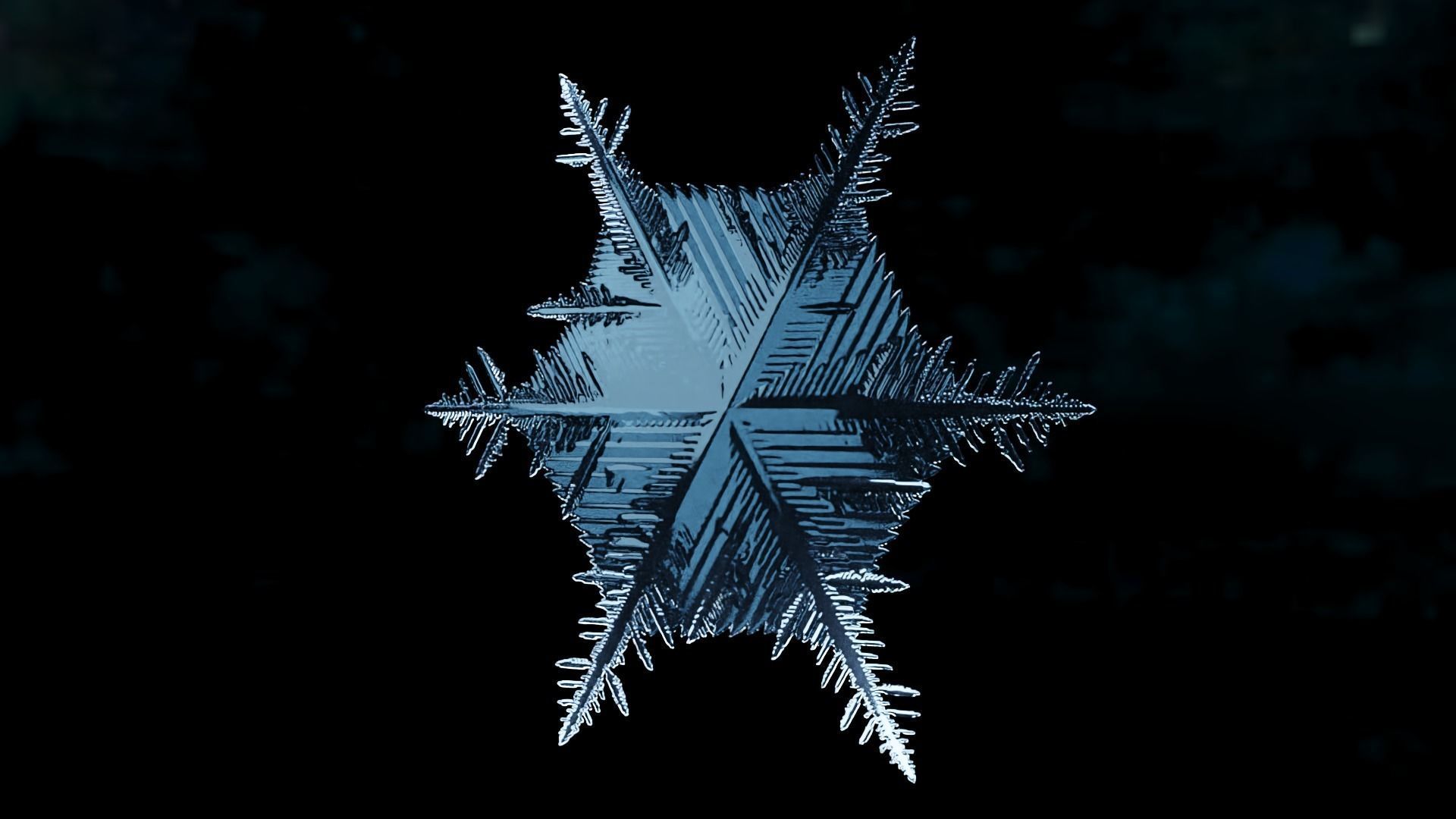 Snowflake growing animation with blender file 3D model_4