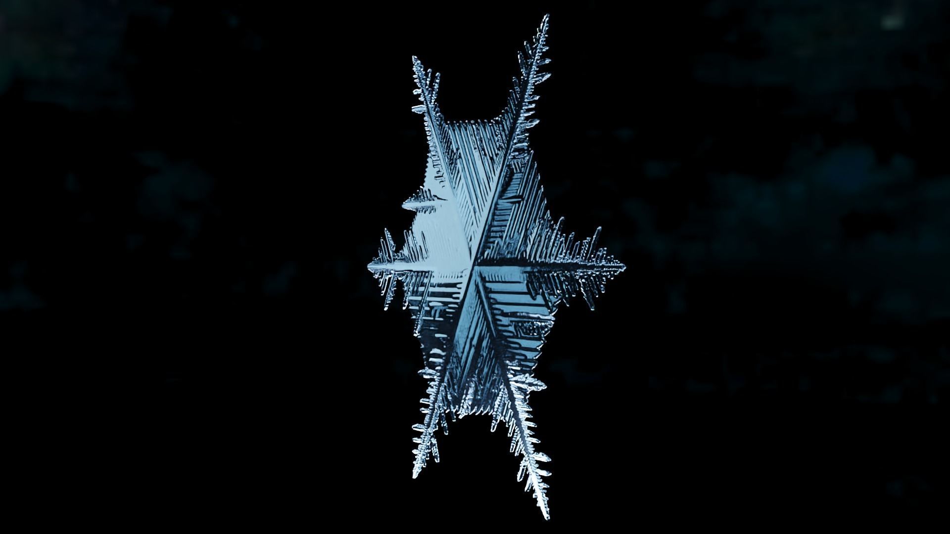 Snowflake growing animation with blender file 3D model_5