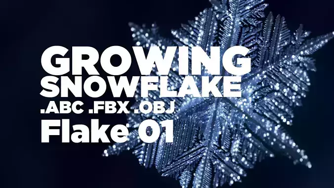 Snowflake growing animation with blender file 3D model