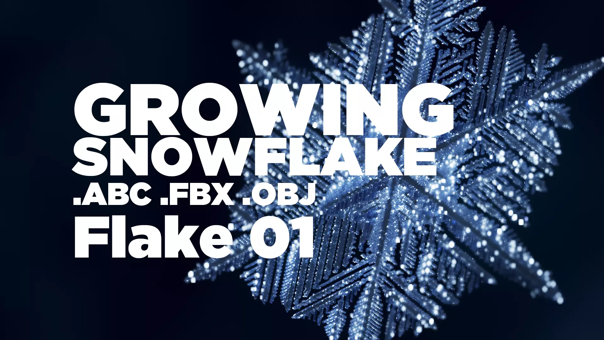 Snowflake growing animation with blender file 3D model_0