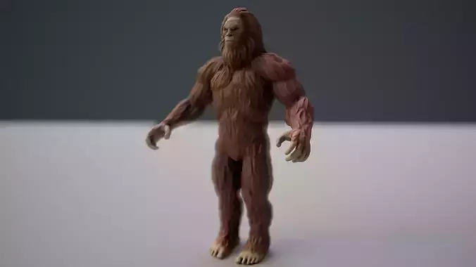 Sasquatch Bigfoot