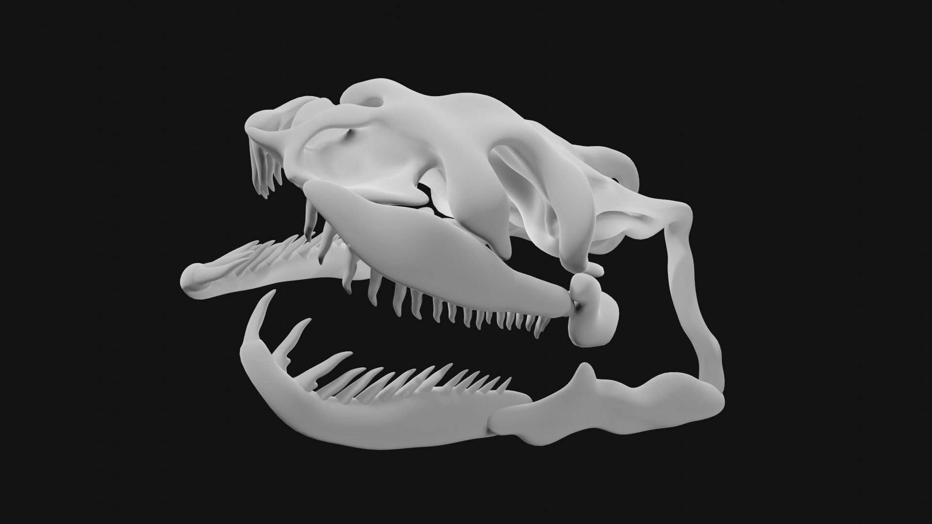 Anaconda skull of anaconda skeleton 3D model_5