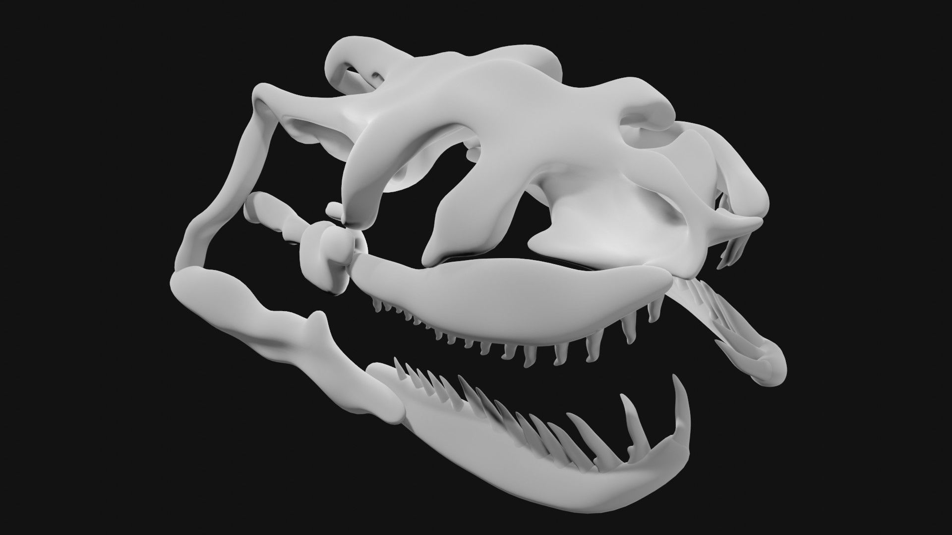 Anaconda skull of anaconda skeleton 3D model_2