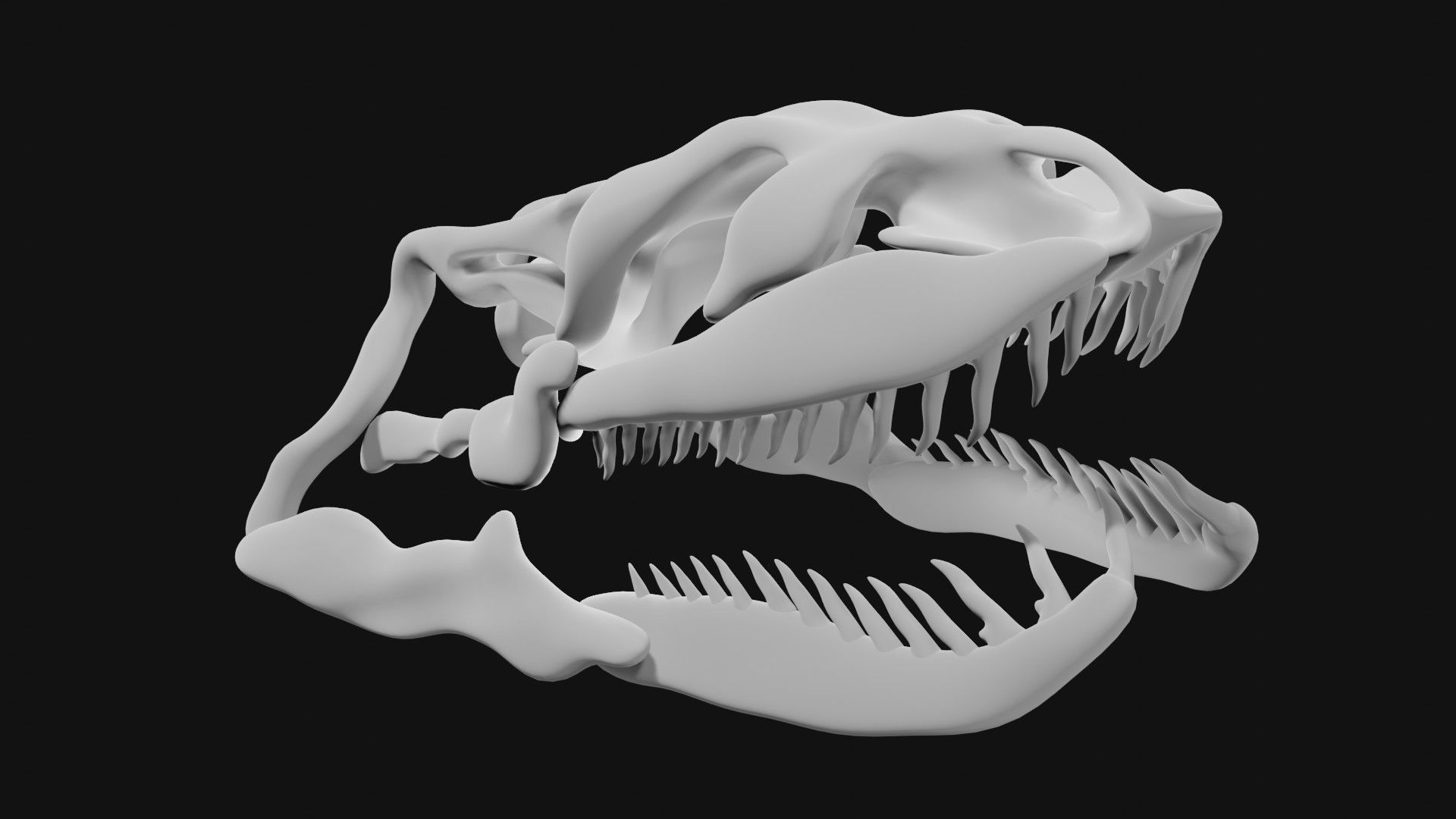 Anaconda skull of anaconda skeleton 3D model_1