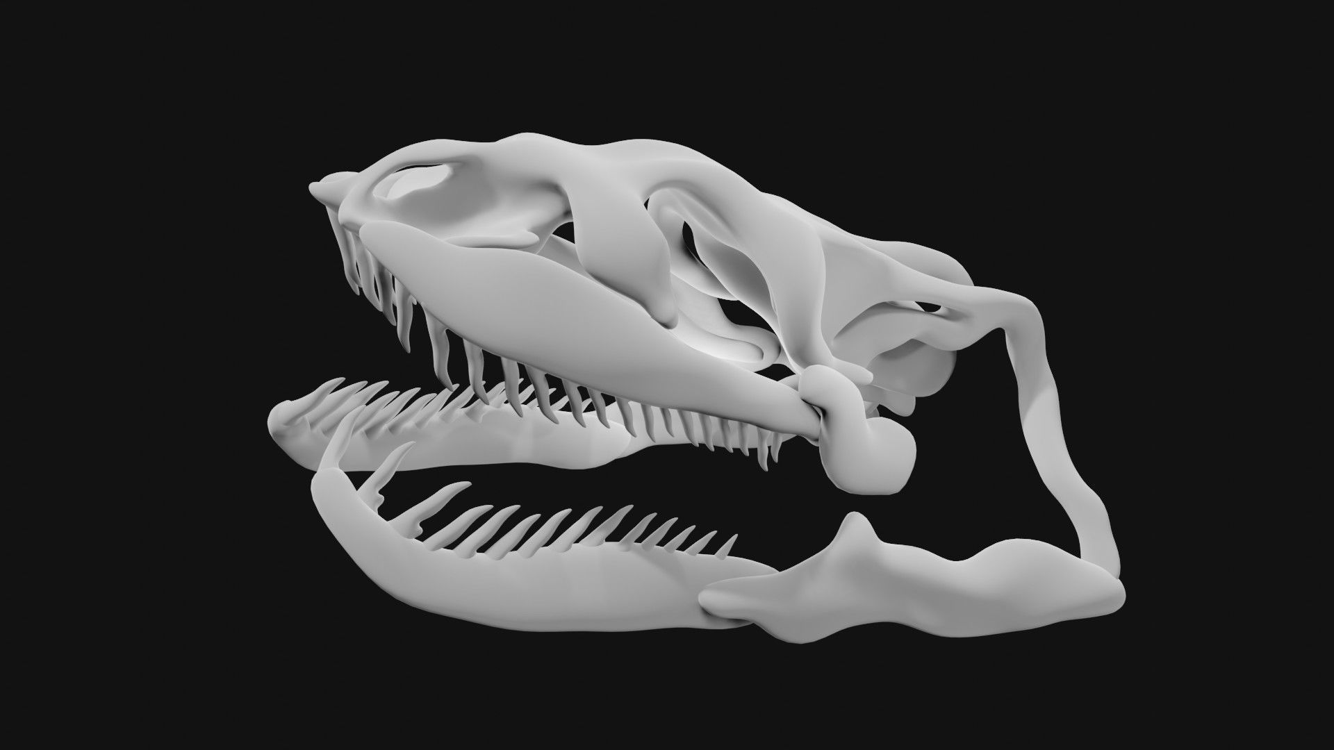 Anaconda skull of anaconda skeleton 3D model_3