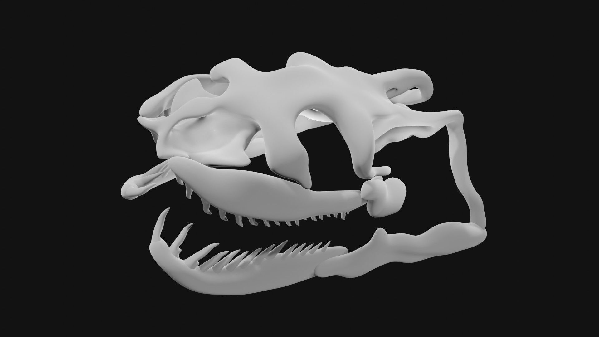 Anaconda skull of anaconda skeleton 3D model_4