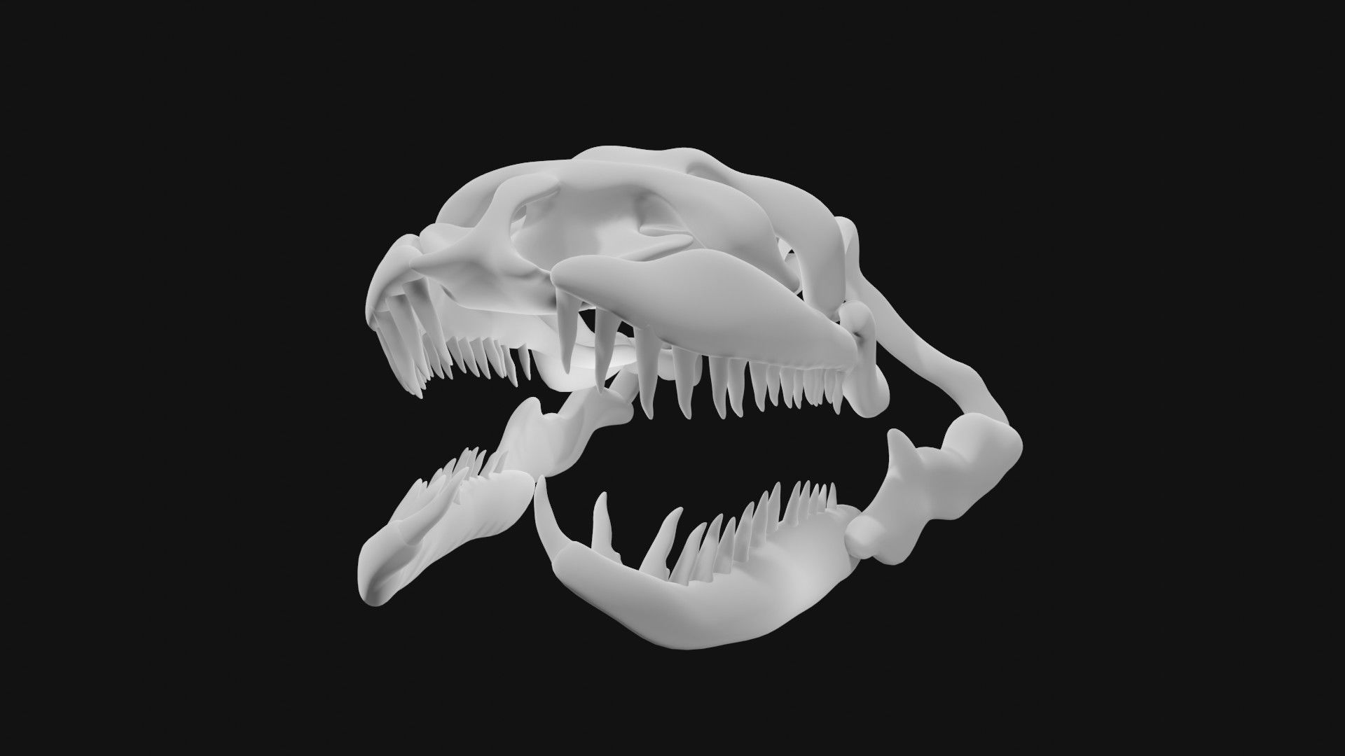 Anaconda skull of anaconda skeleton 3D model_6