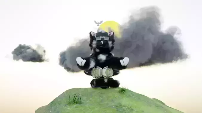 Cat that meditates on the hills