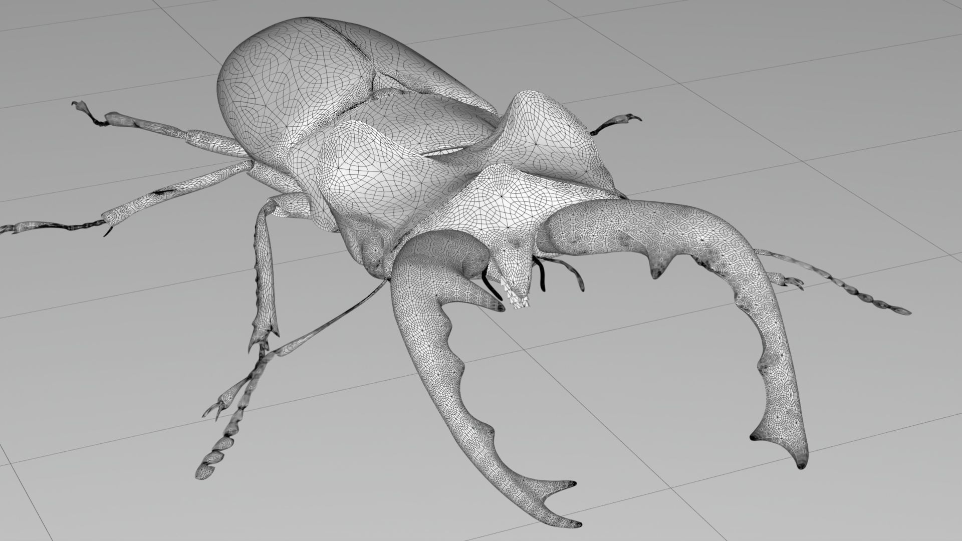 Stag Beetle Low-poly 3D model_7