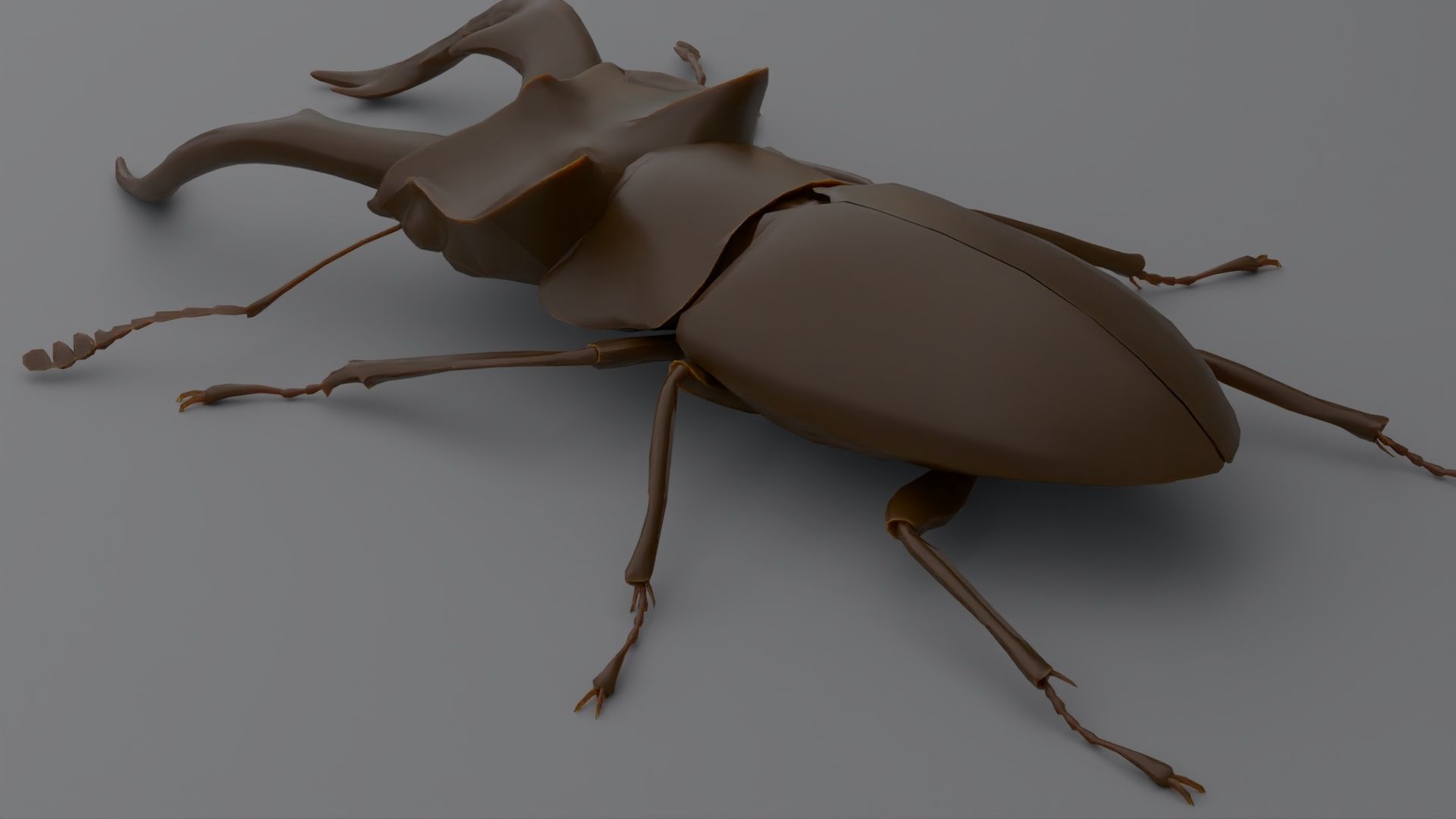 Stag Beetle Low-poly 3D model_4