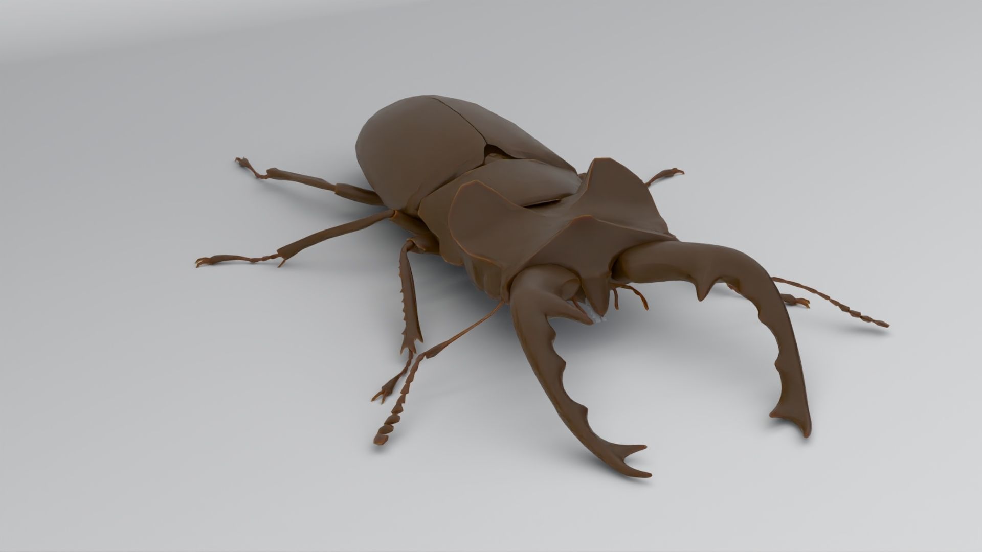 Stag Beetle Low-poly 3D model_6