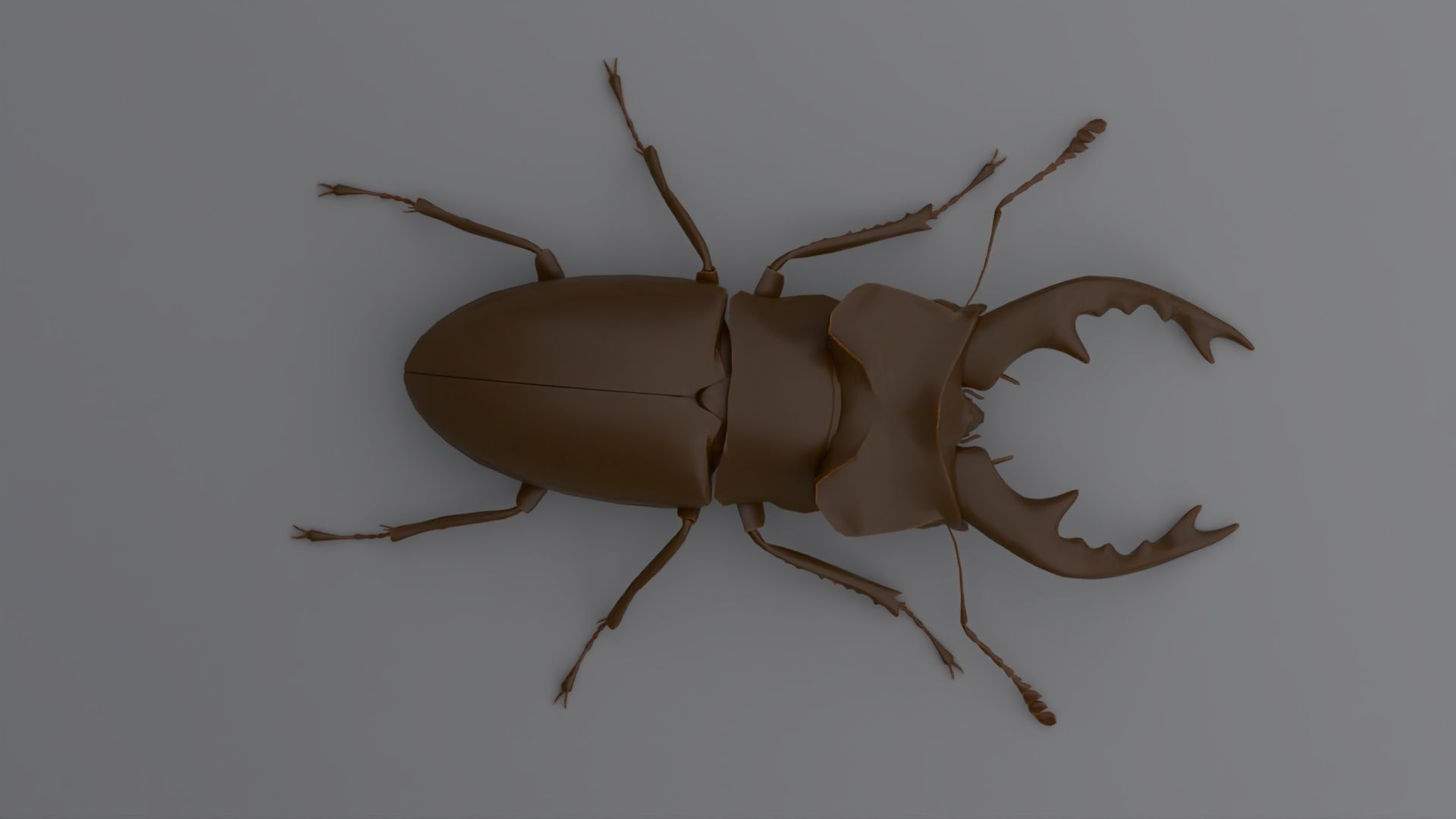 Stag Beetle Low-poly 3D model_5