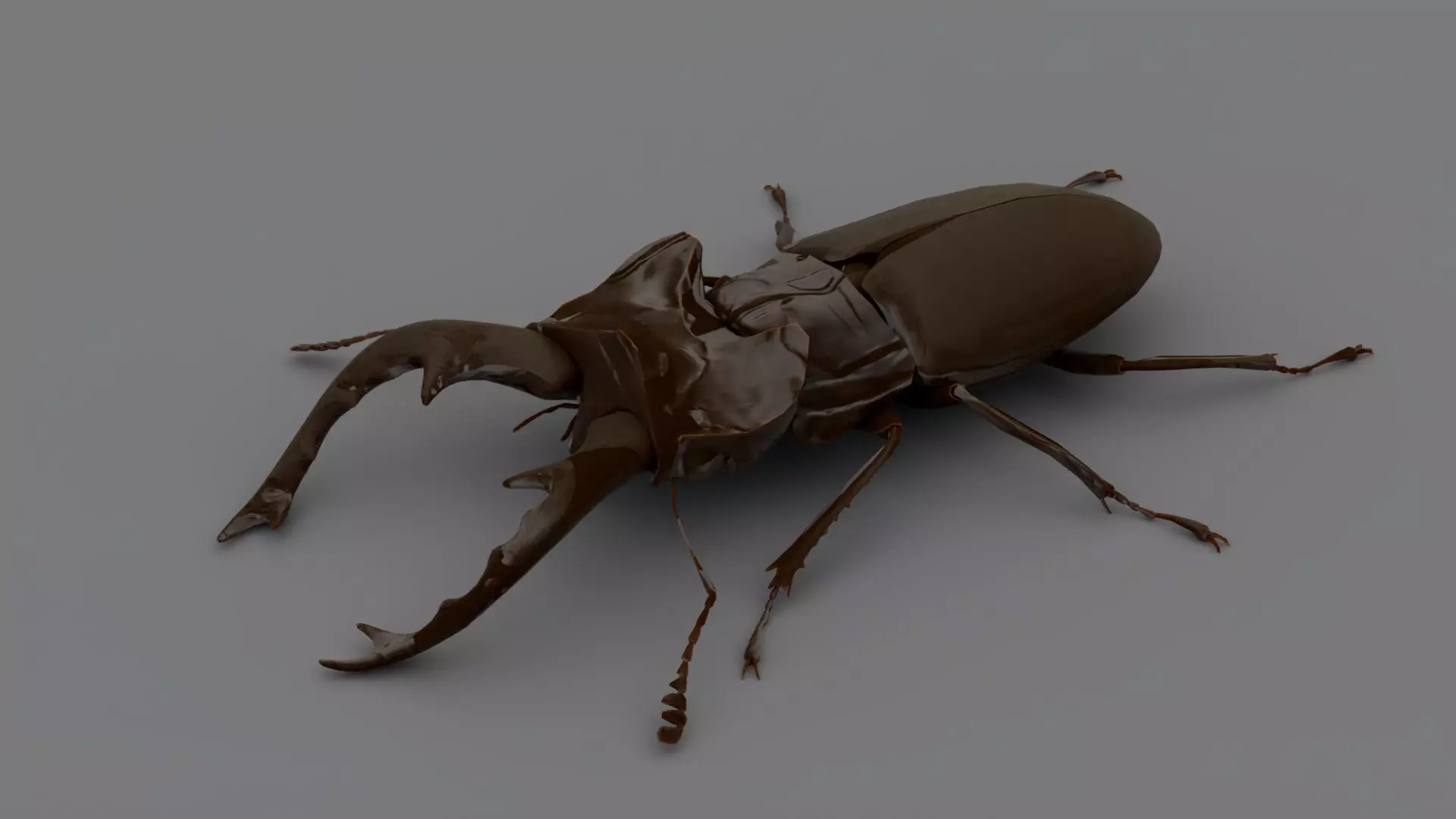 Stag Beetle Low-poly 3D model_0