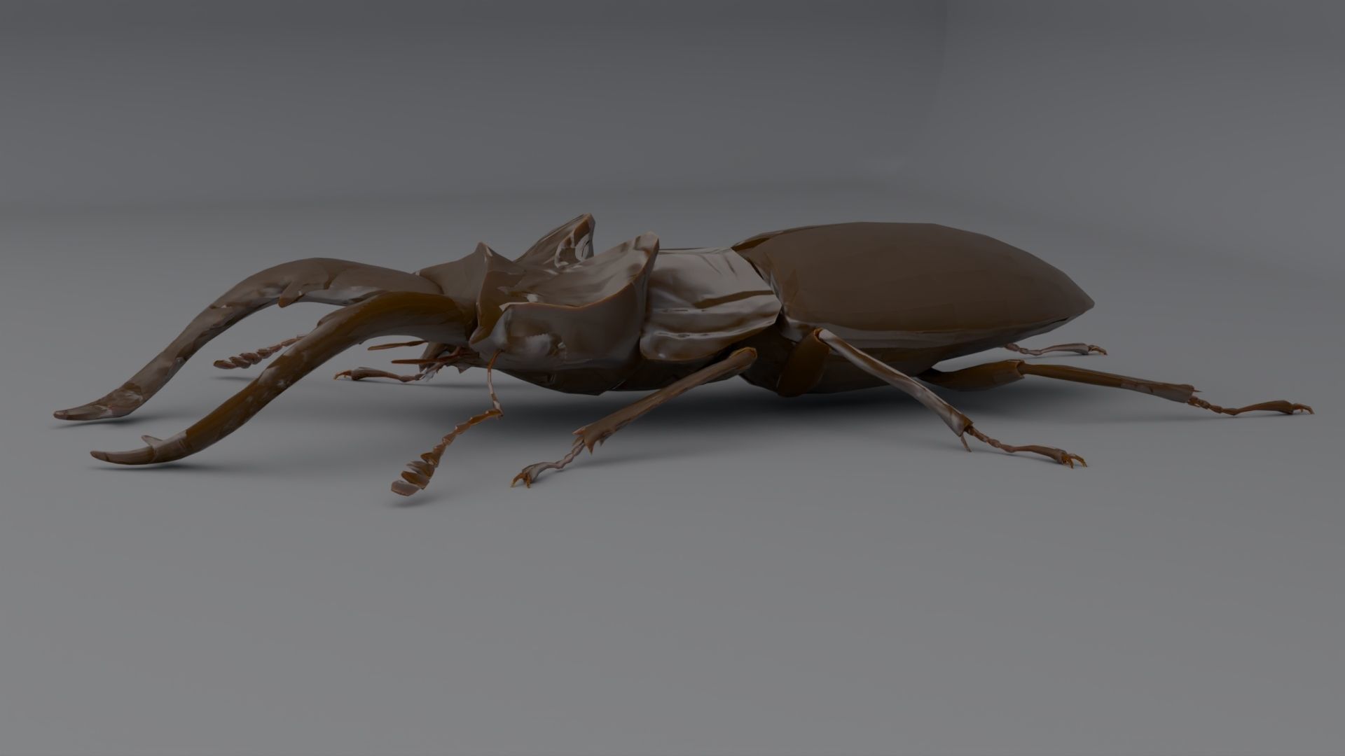 Stag Beetle Low-poly 3D model_1