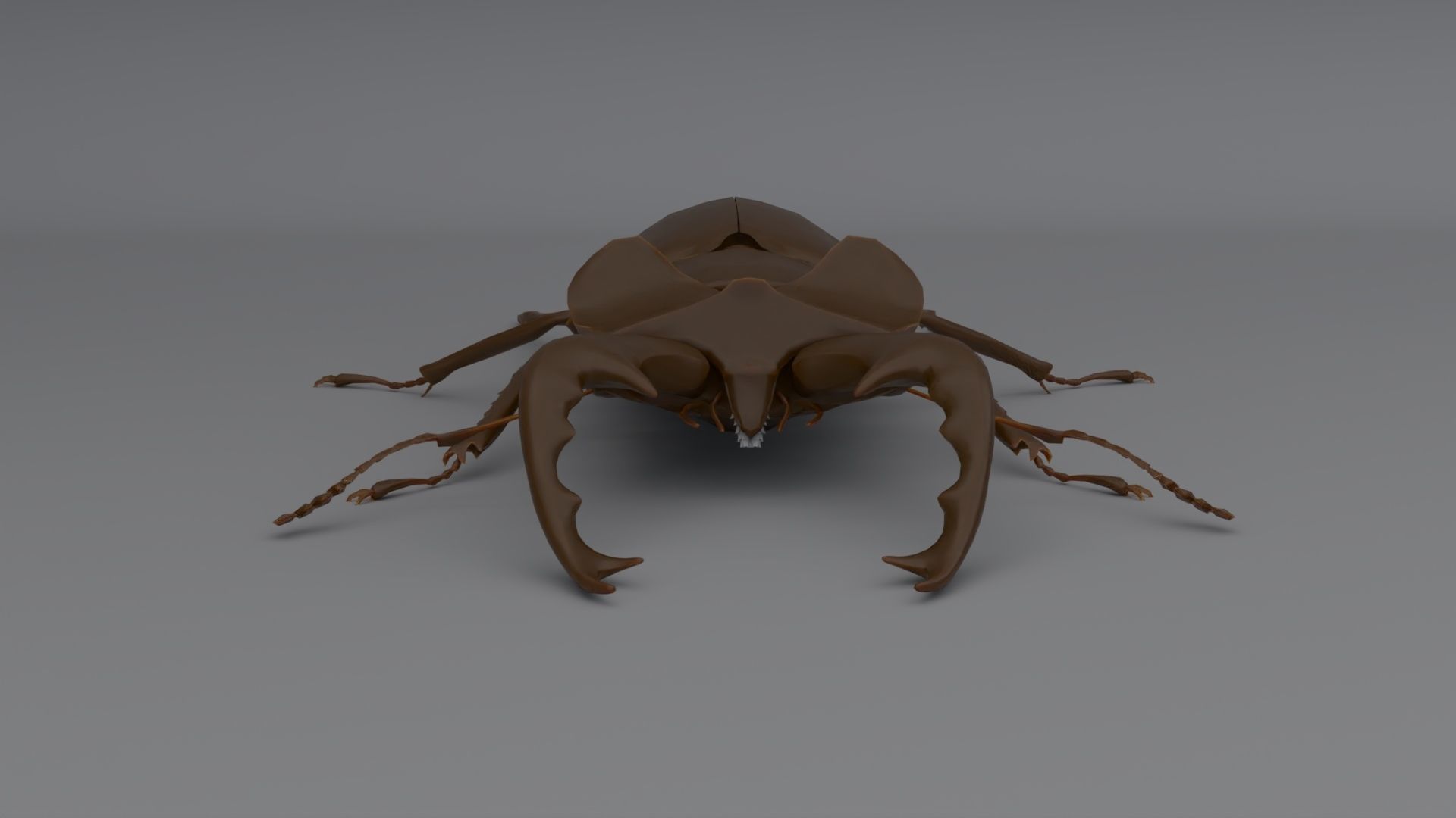 Stag Beetle Low-poly 3D model_2