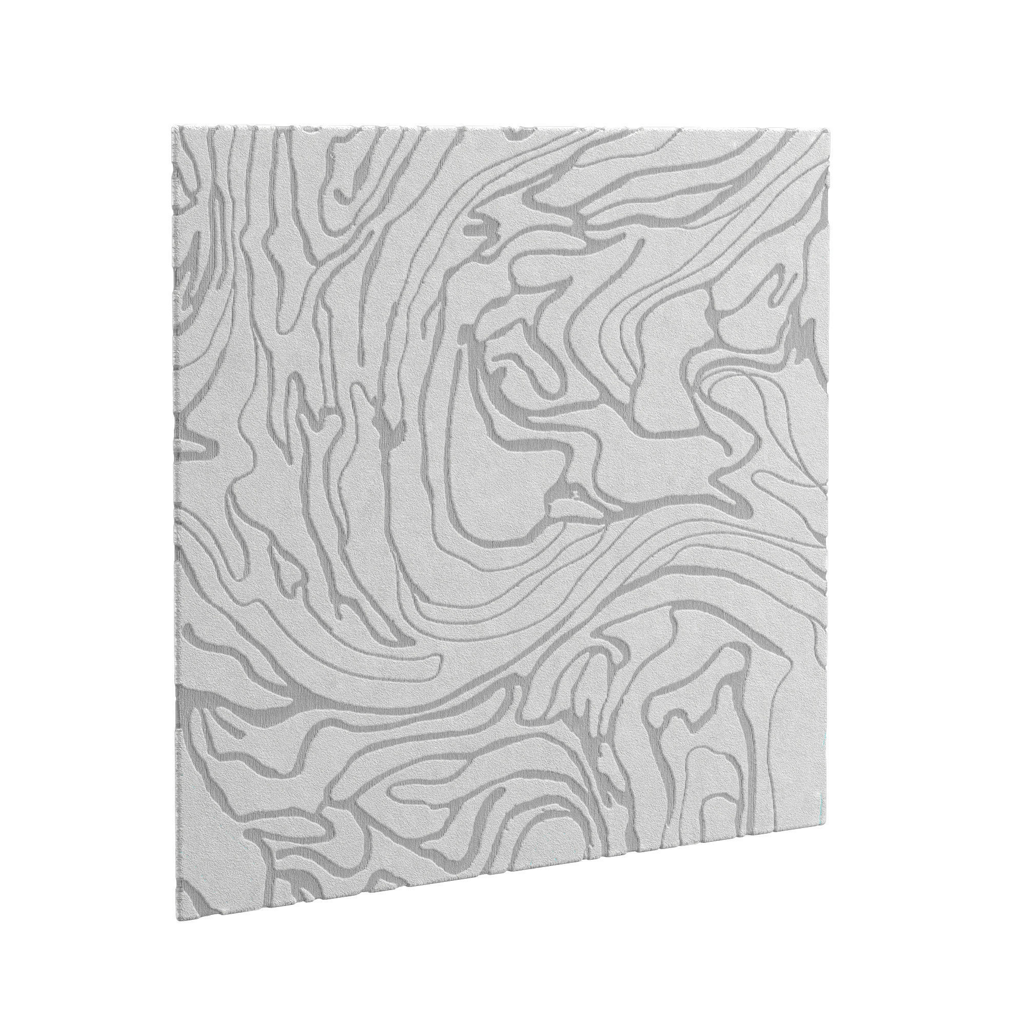 Gray River RUG 3D model_5