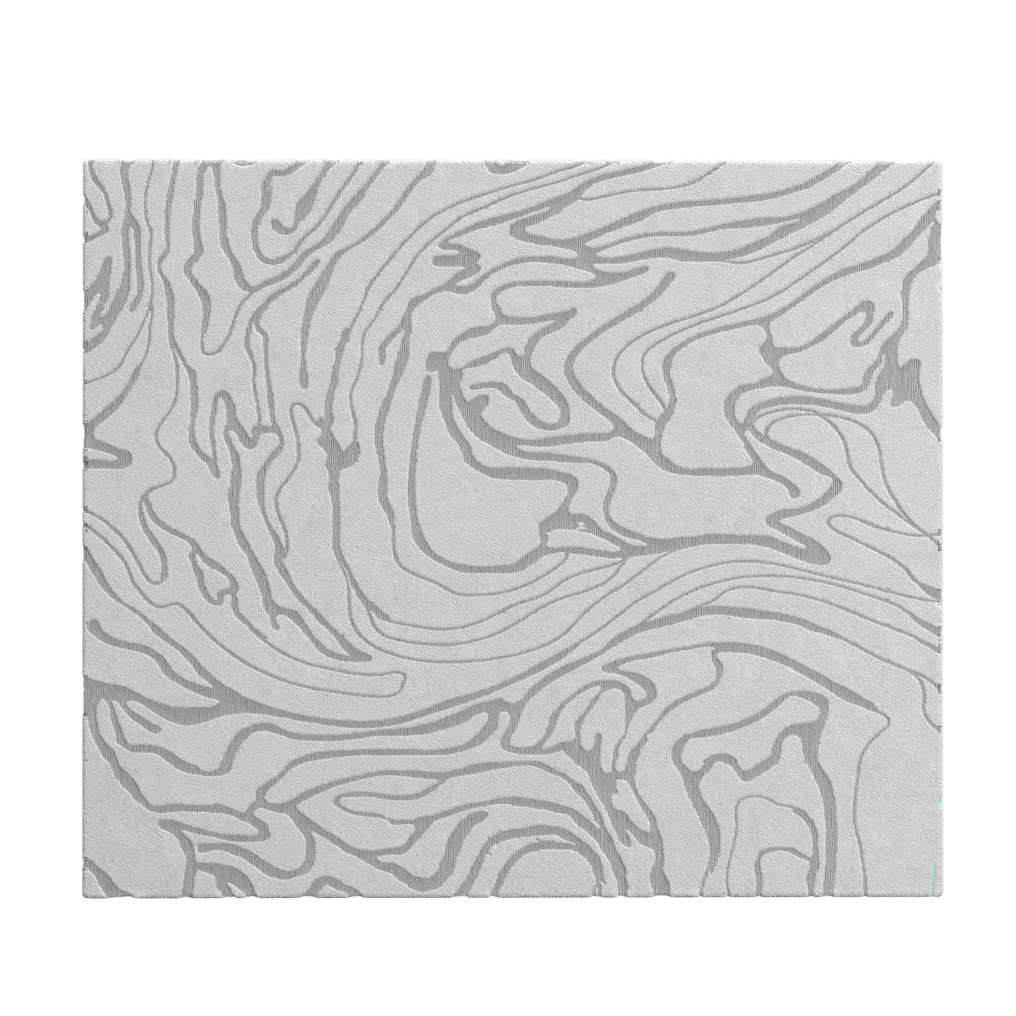 Gray River RUG 3D model_2