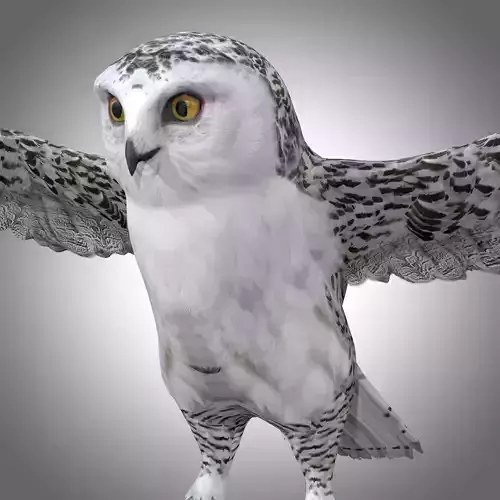  Snowy White Owl Low-poly 3D model