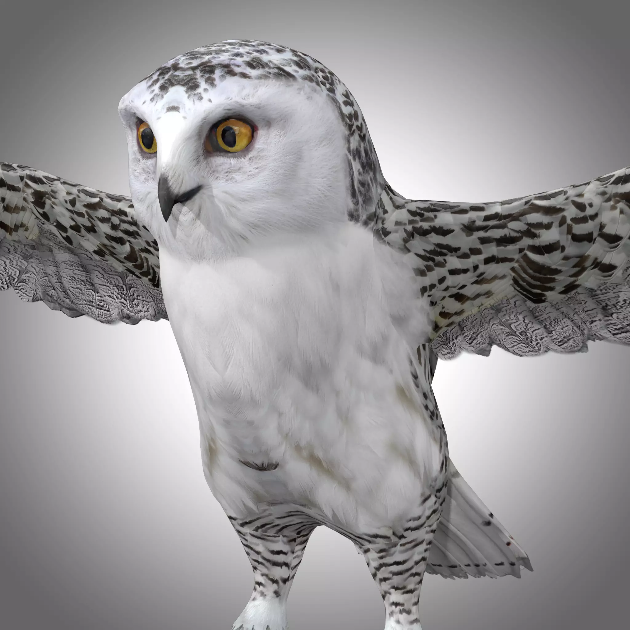 Snowy White Owl Low-poly 3D model_0