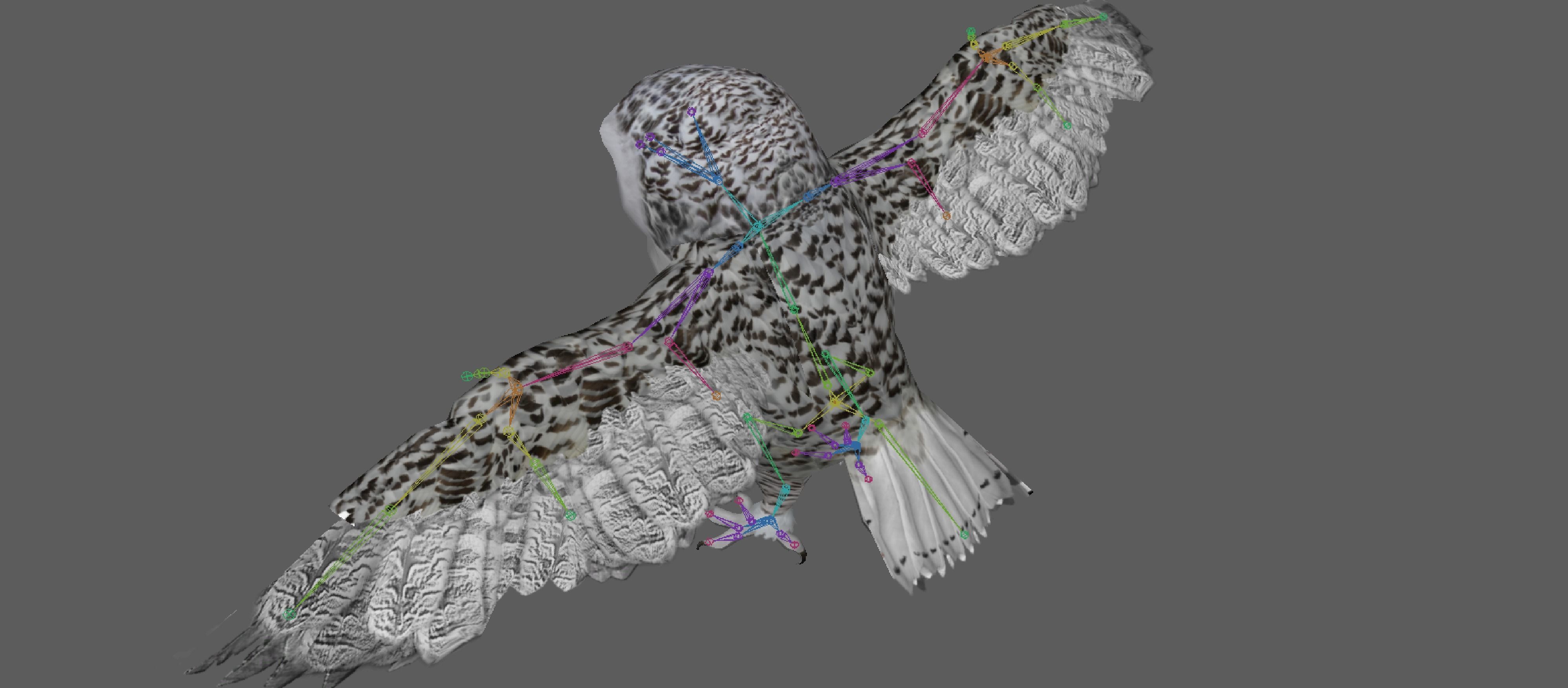 Snowy White Owl Low-poly 3D model_10