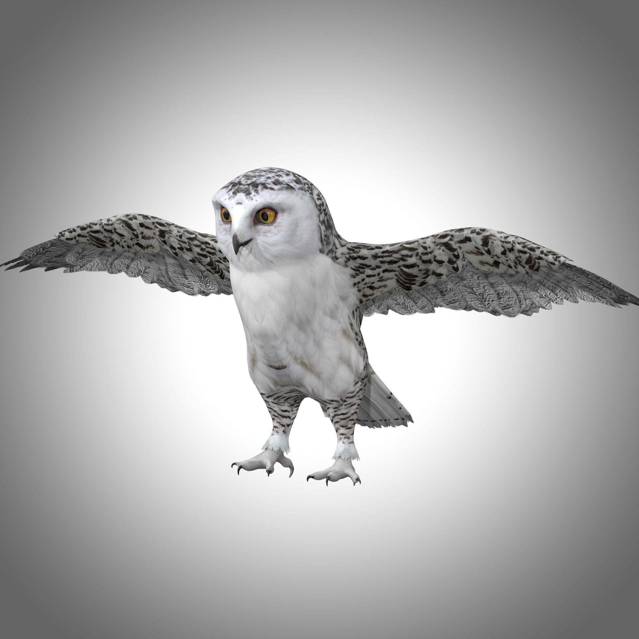 Snowy White Owl Low-poly 3D model_1