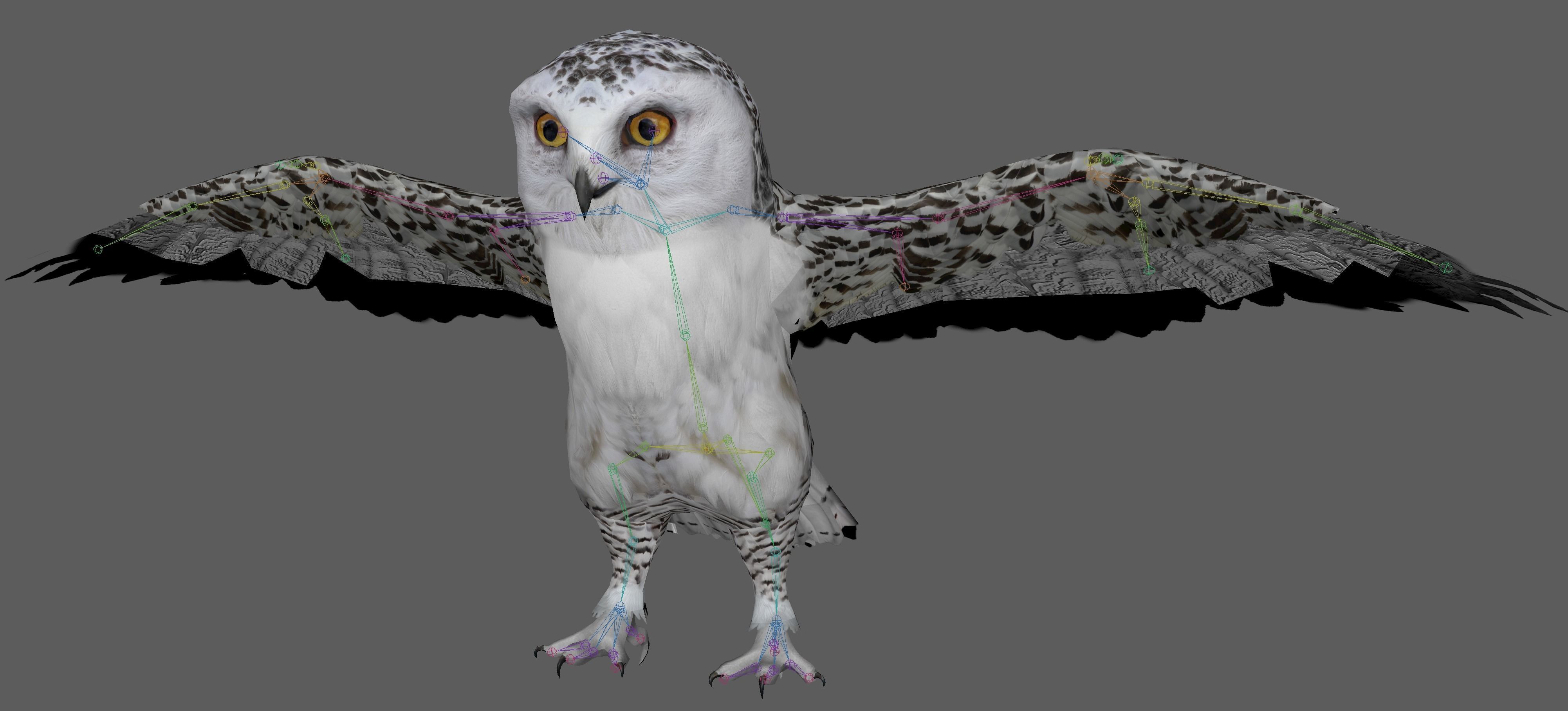 Snowy White Owl Low-poly 3D model_8