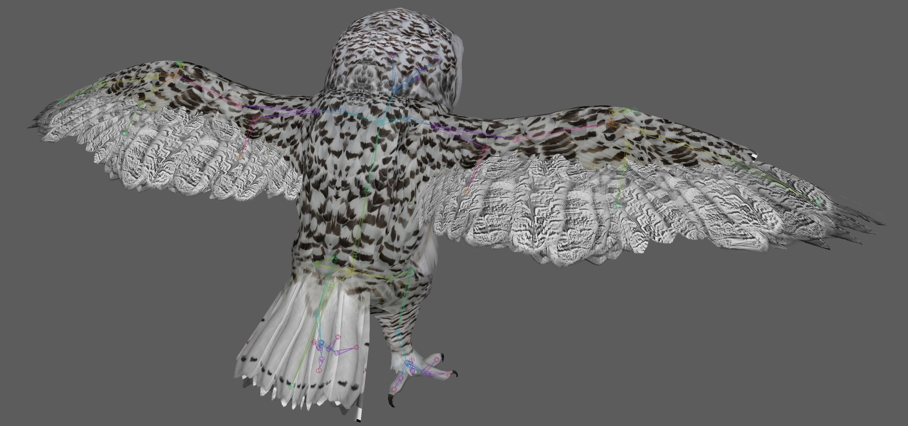 Snowy White Owl Low-poly 3D model_20