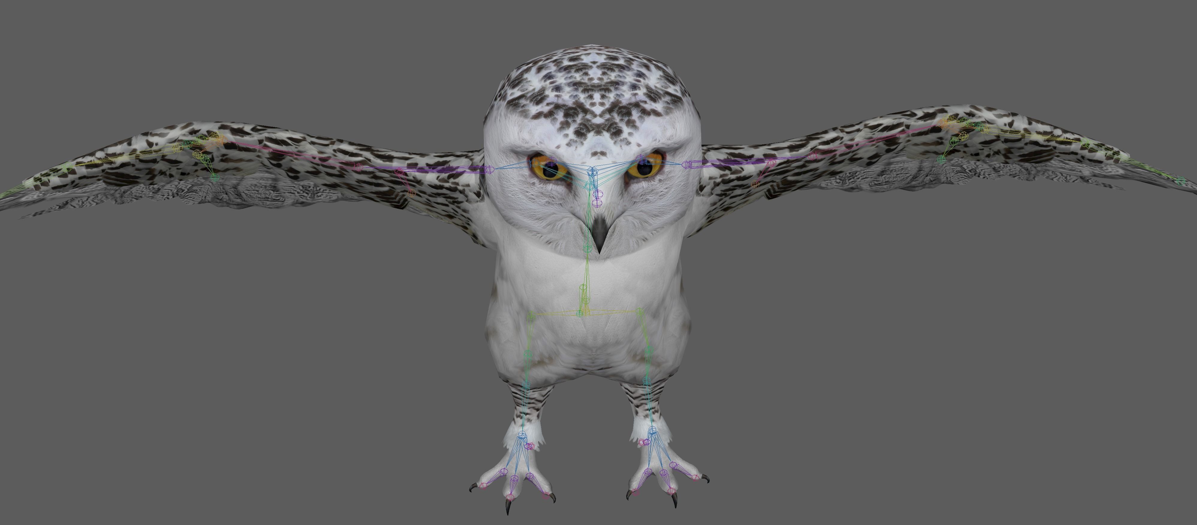 Snowy White Owl Low-poly 3D model_16