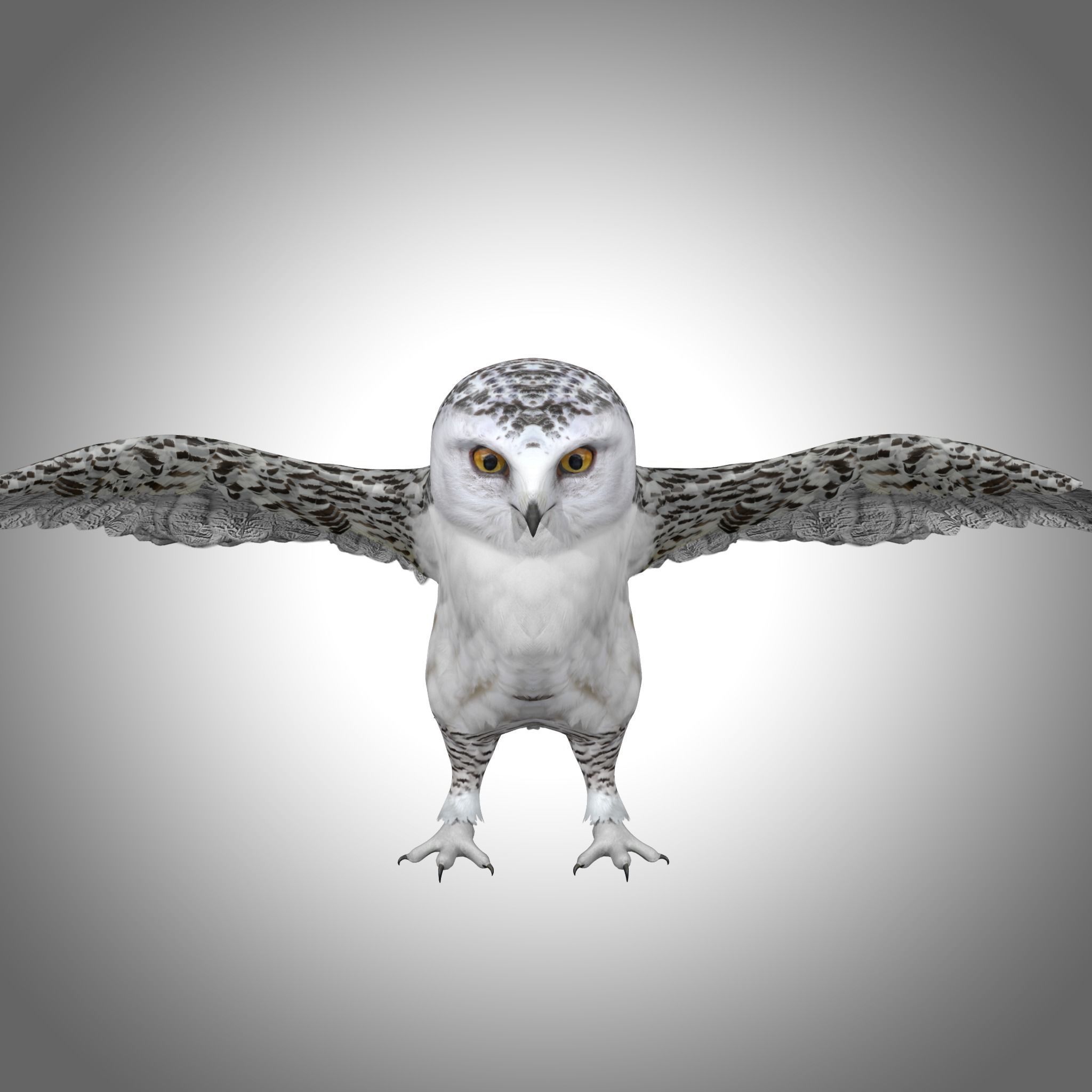 Snowy White Owl Low-poly 3D model_7