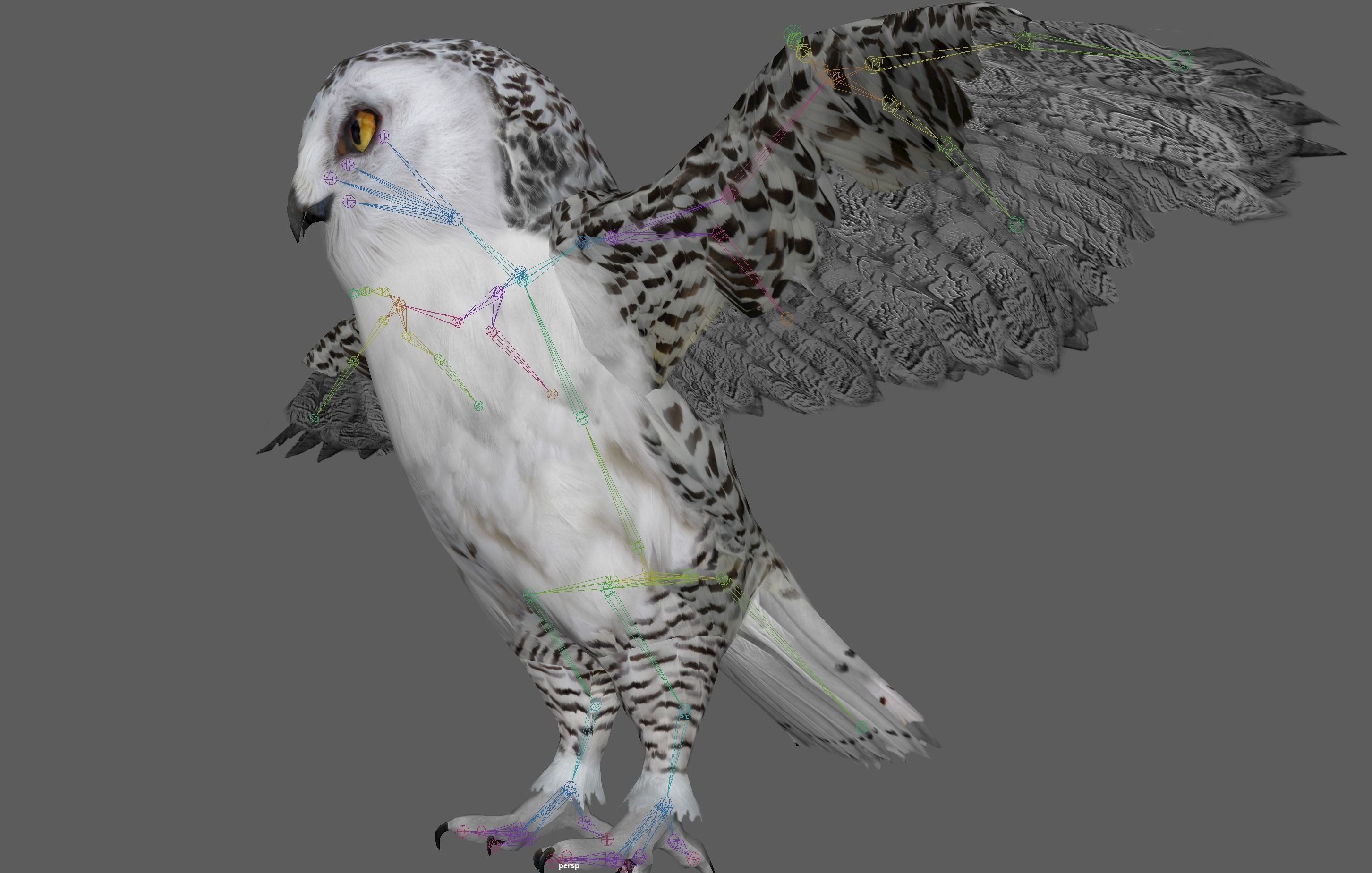 Snowy White Owl Low-poly 3D model_22