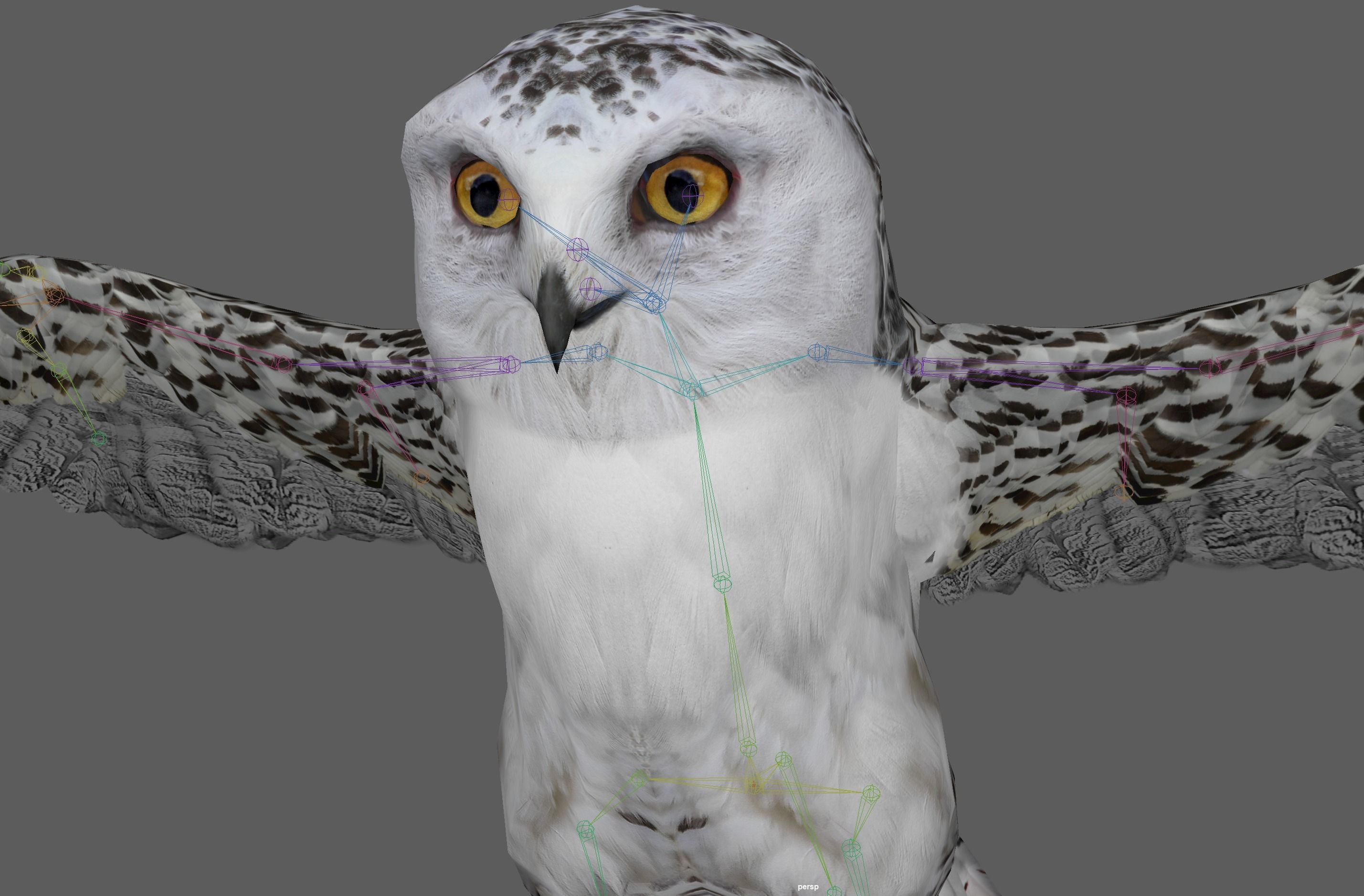Snowy White Owl Low-poly 3D model_17