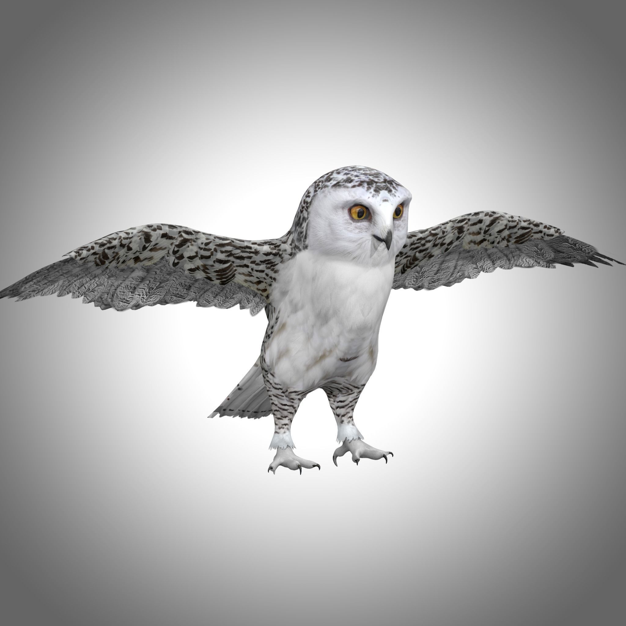Snowy White Owl Low-poly 3D model_2