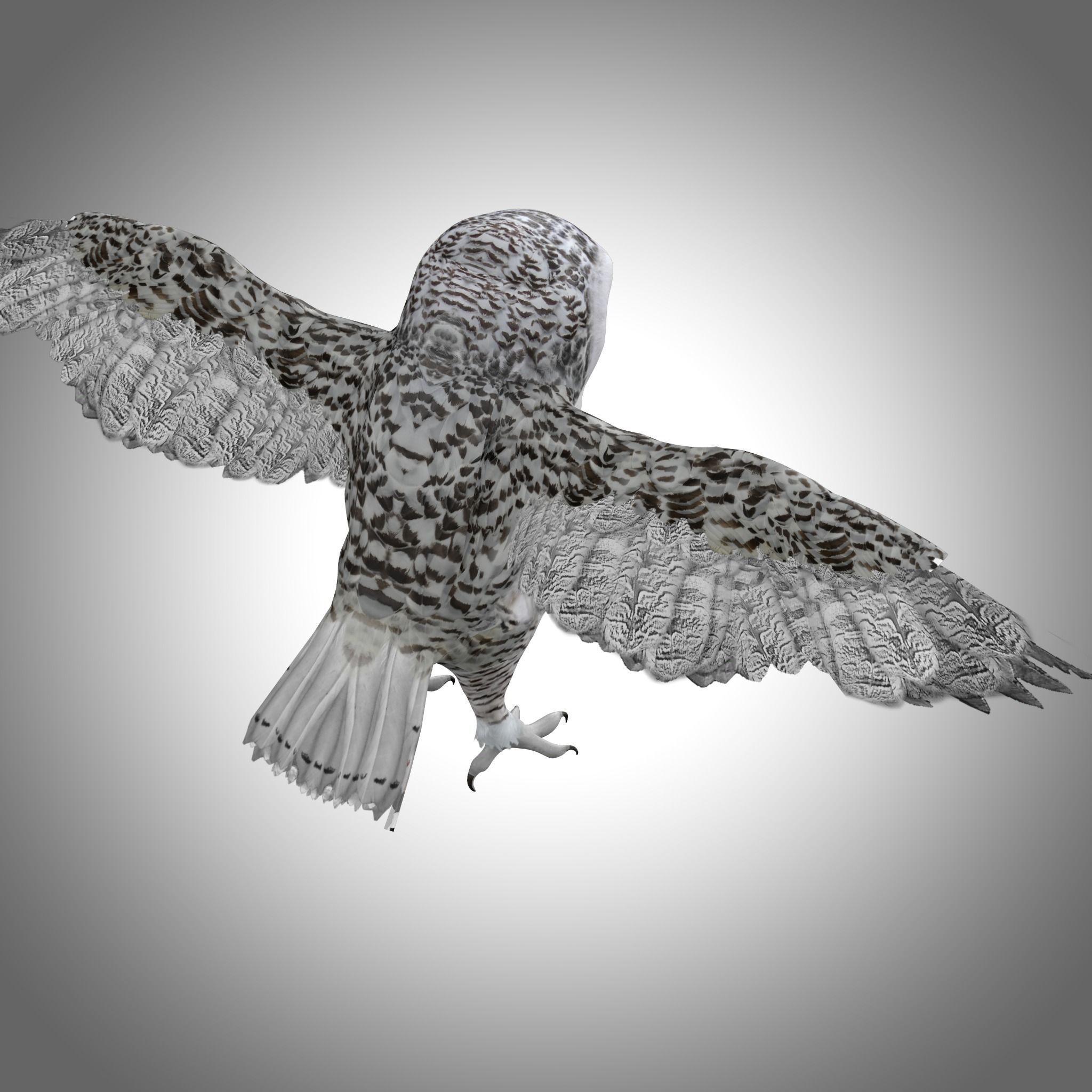 Snowy White Owl Low-poly 3D model_4