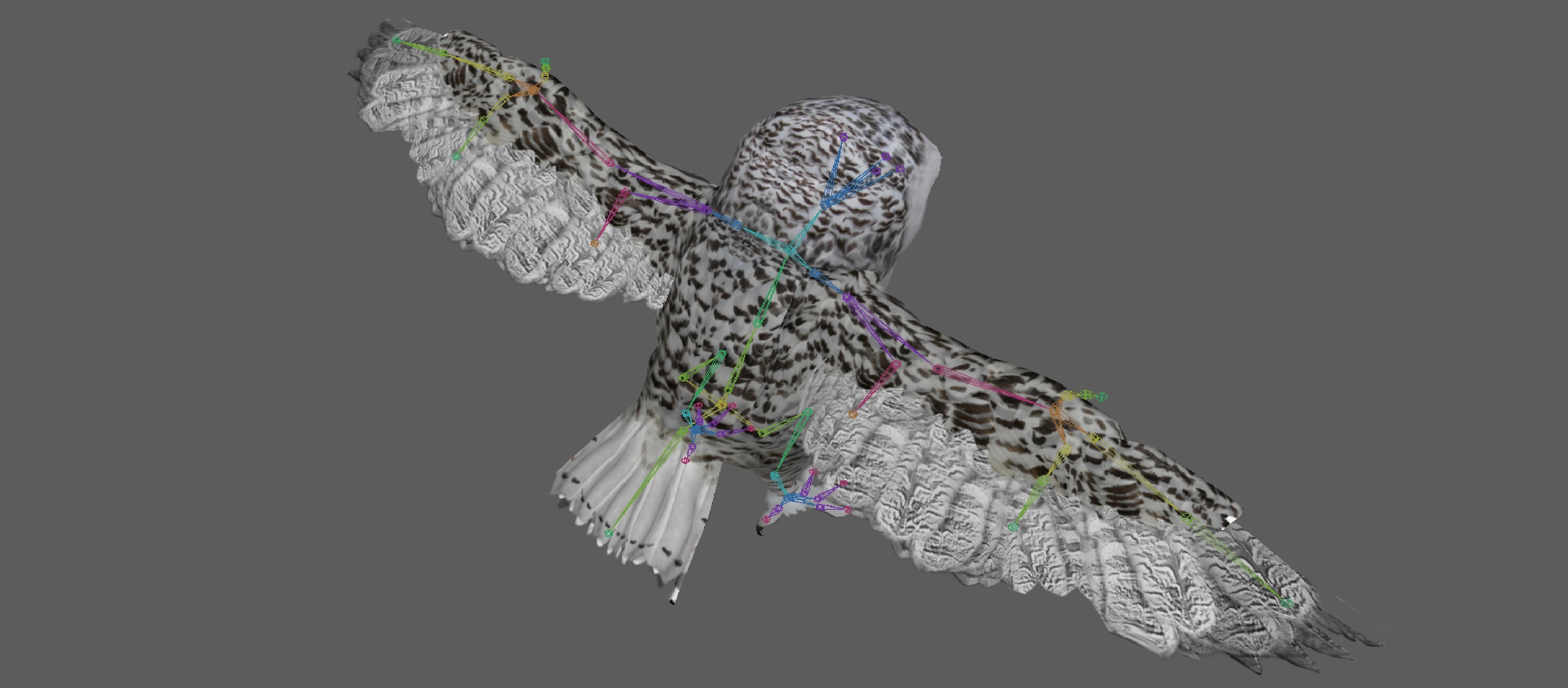 Snowy White Owl Low-poly 3D model_11