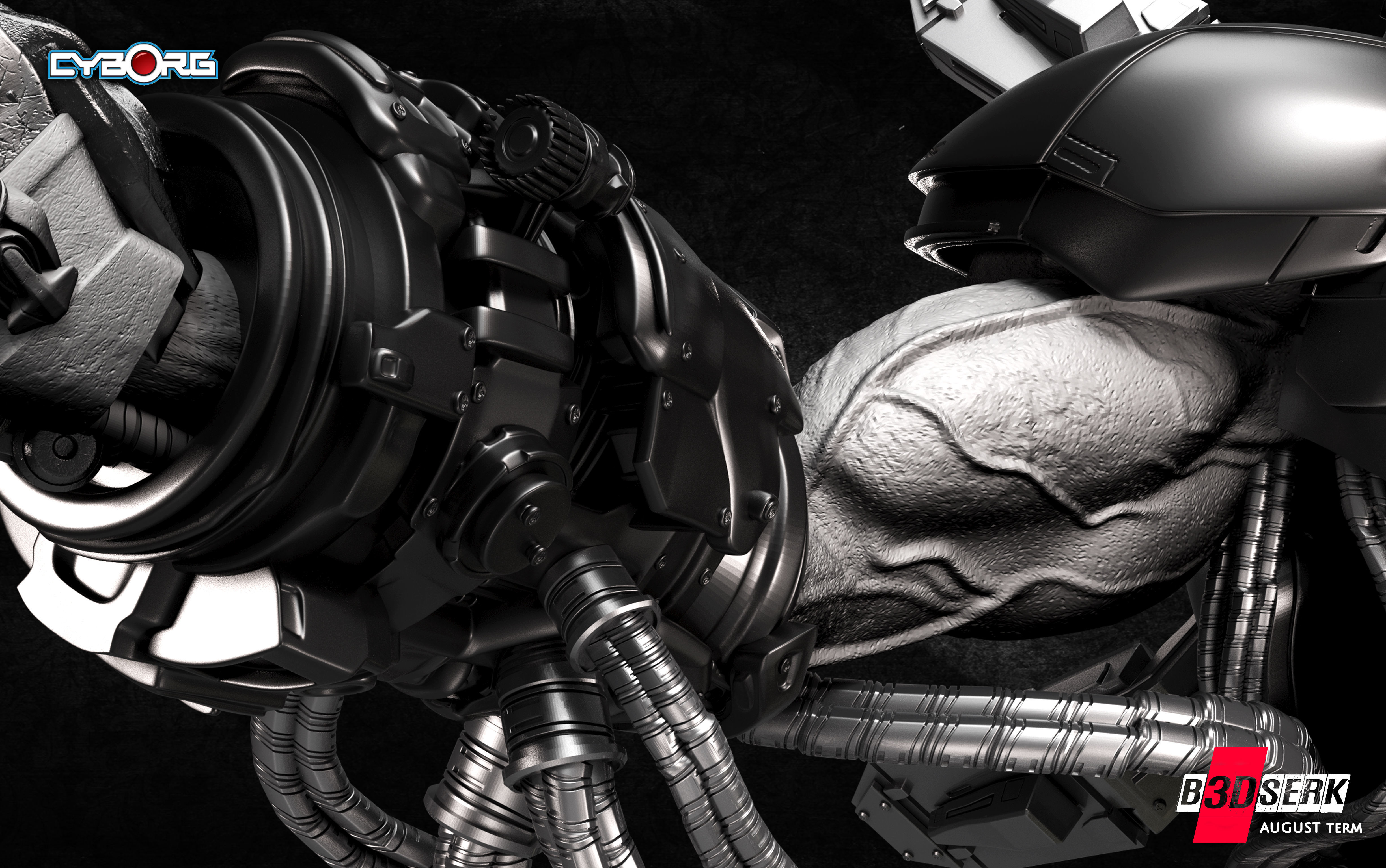 B3DSERK August term 2022 Cyborg Bust ready for printing 3D print model_4