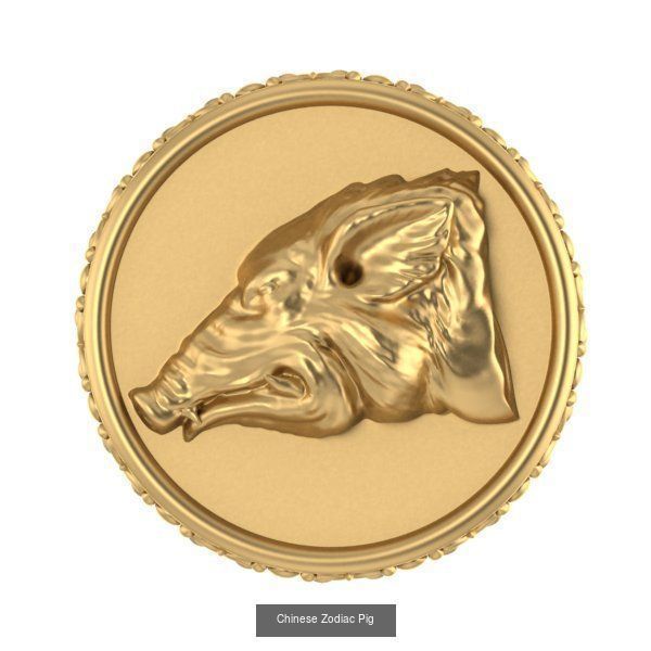 Chinese Zodiac Coins  Collection _6
