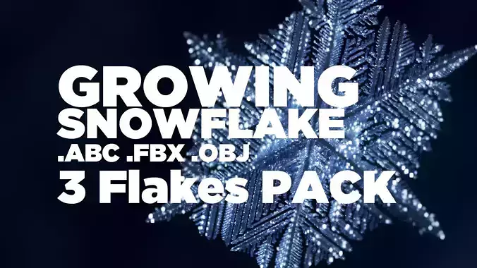 Snowflake PACK growing animation with blender file 3D model