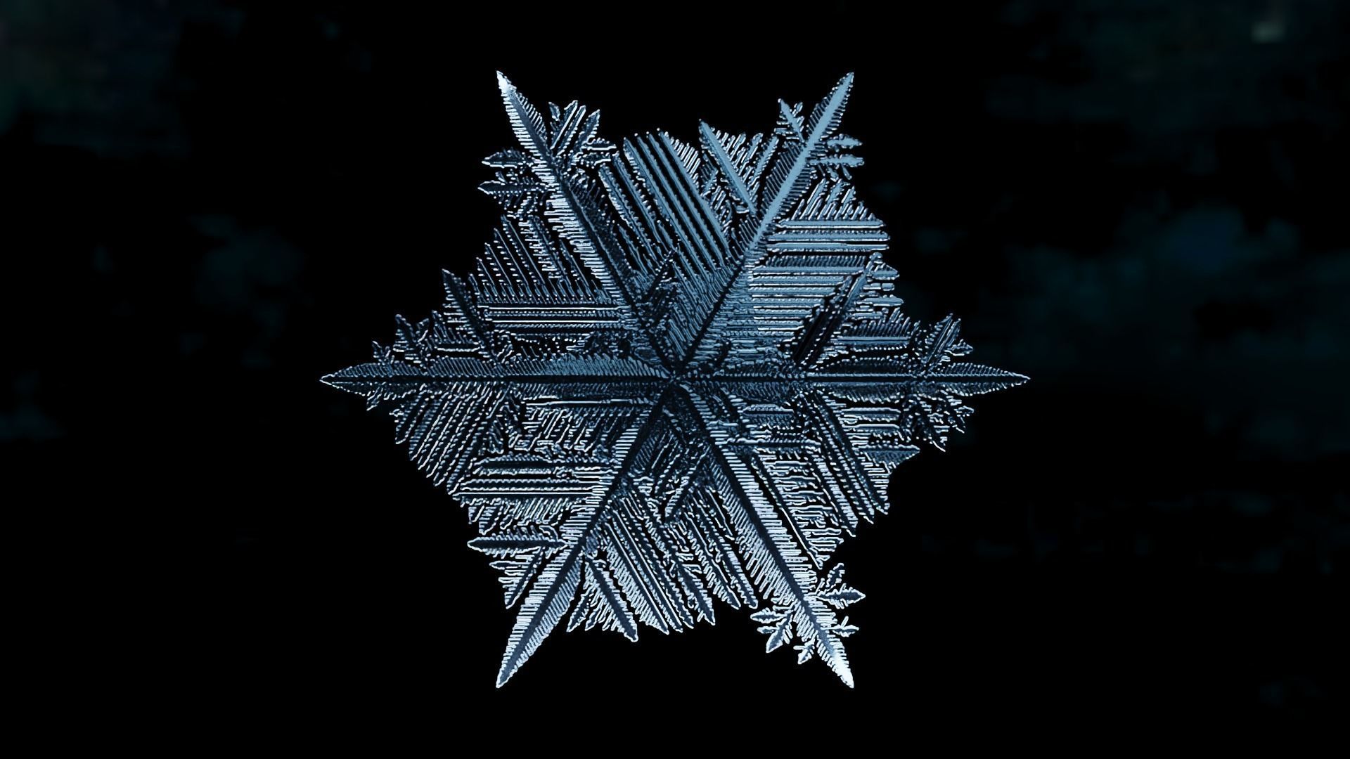 Snowflake PACK growing animation with blender file 3D model_23