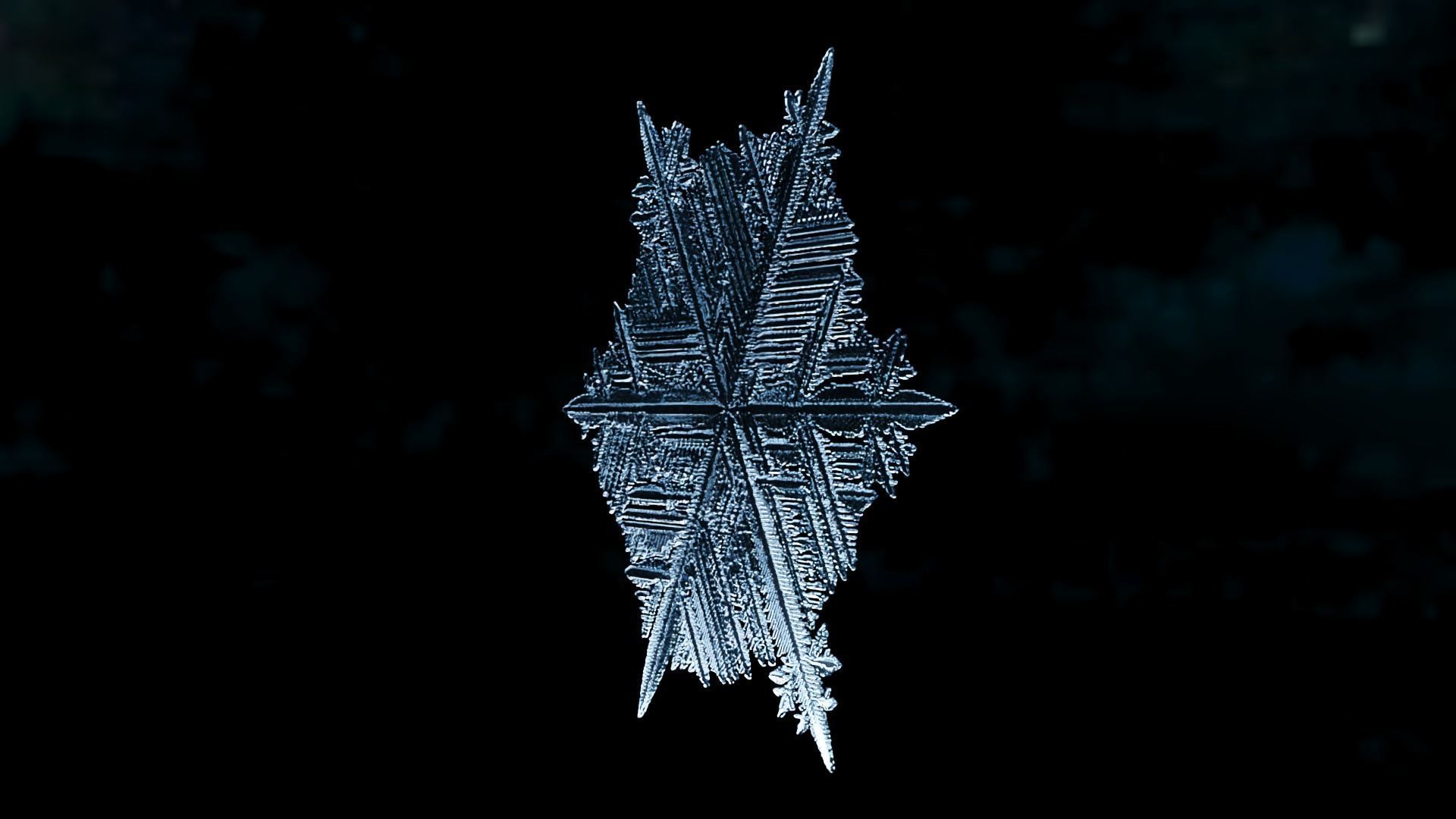 Snowflake PACK growing animation with blender file 3D model_25