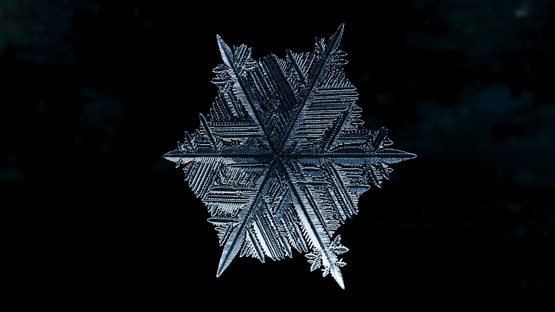 Snowflake PACK growing animation with blender file 3D model_24