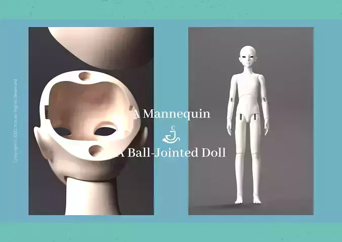 3D MODELS-A Mannequin