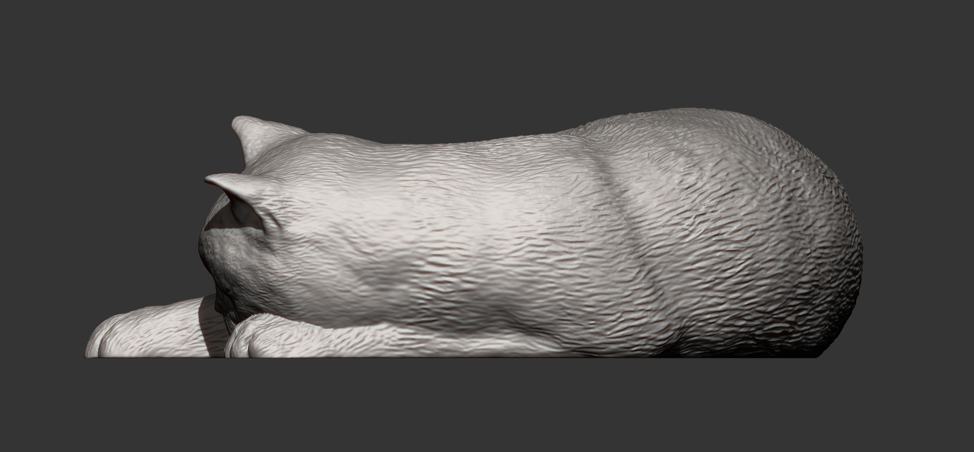 british shorthair cat 3D print model_11