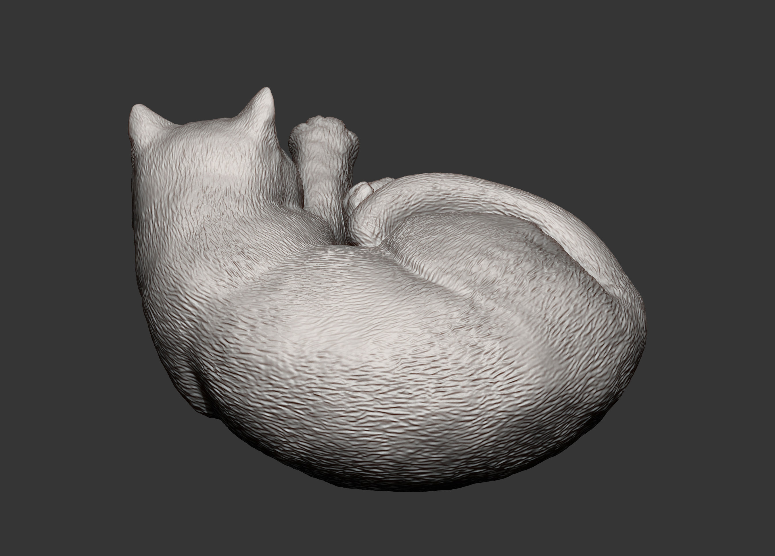 british shorthair cat 3D print model_9