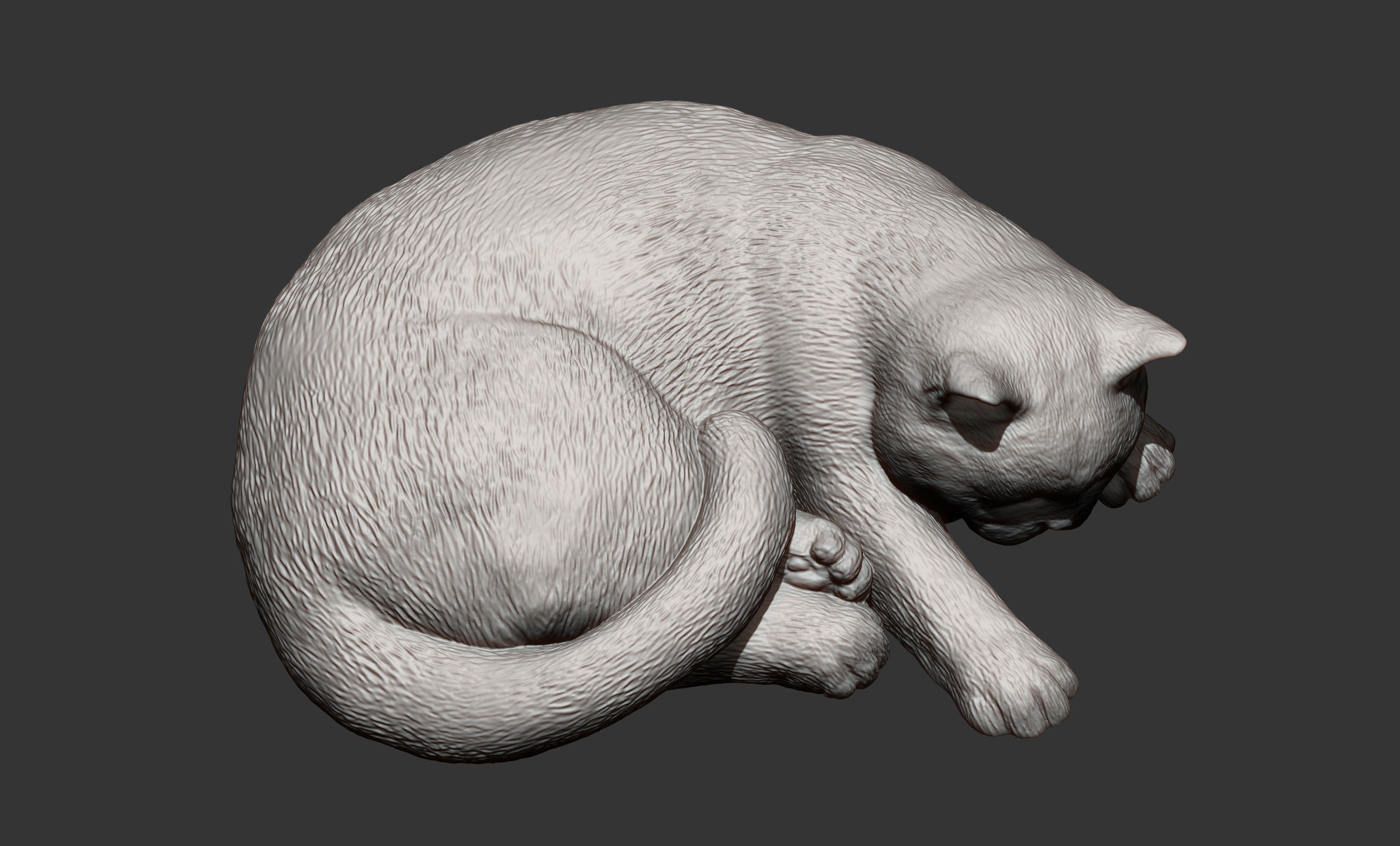 british shorthair cat 3D print model_8