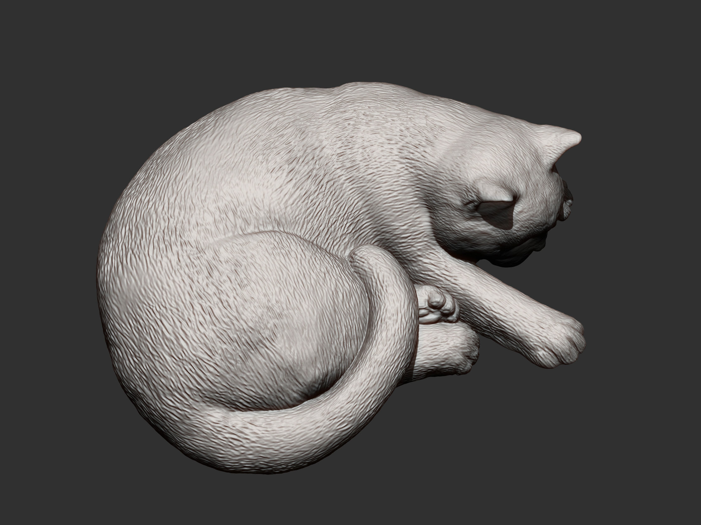 british shorthair cat 3D print model_10