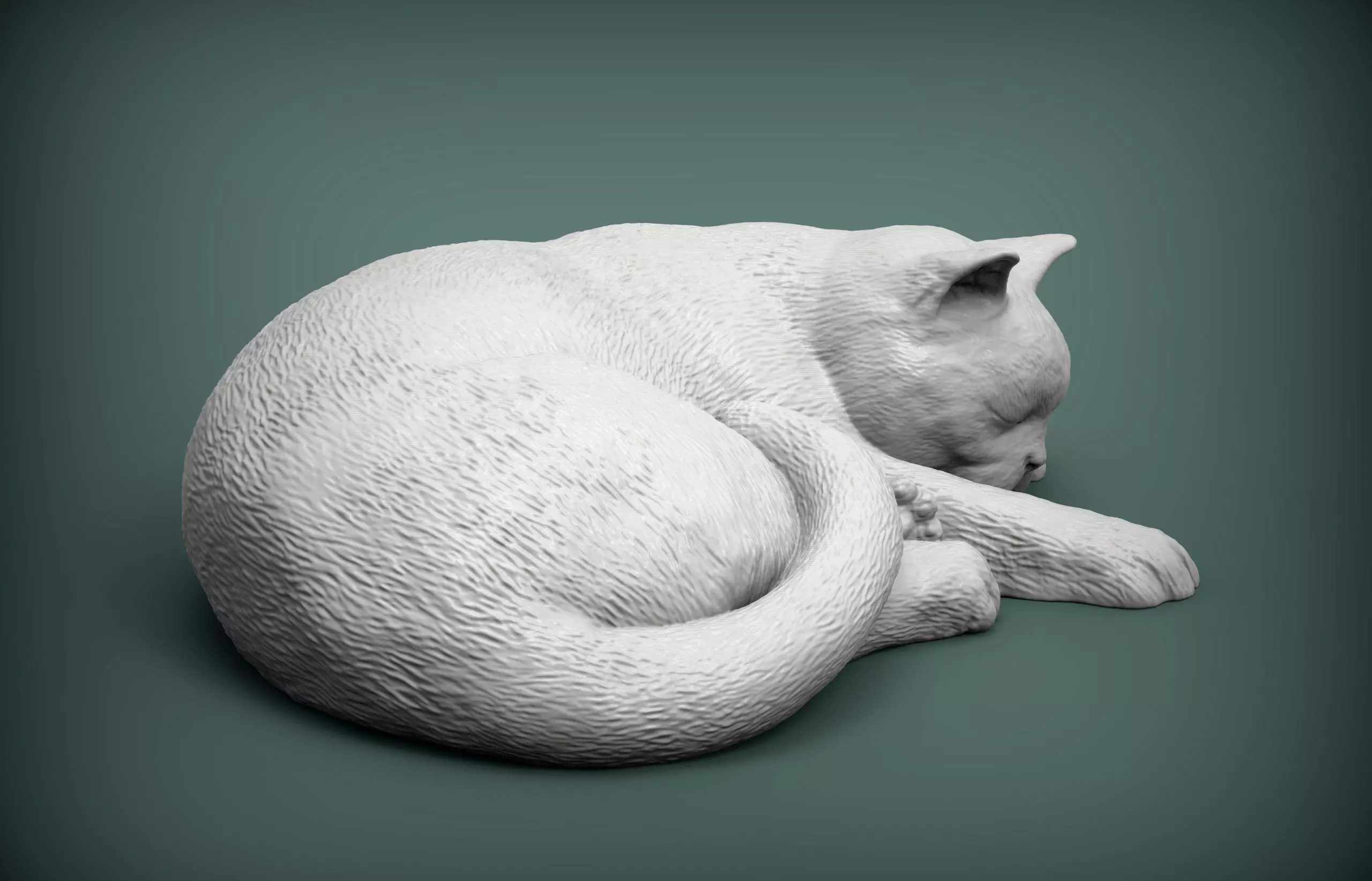 british shorthair cat 3D print model_0
