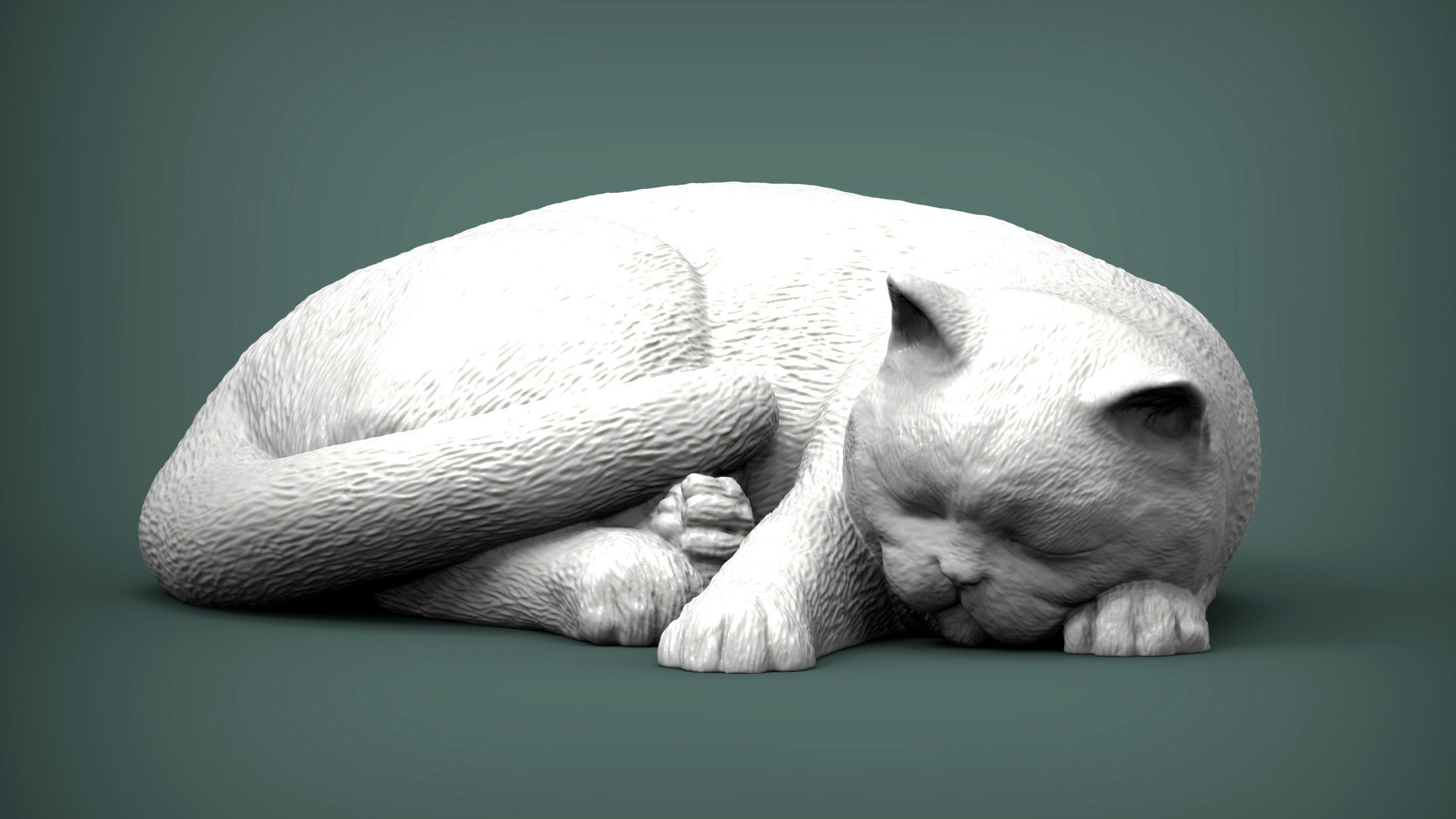 british shorthair cat 3D print model_3